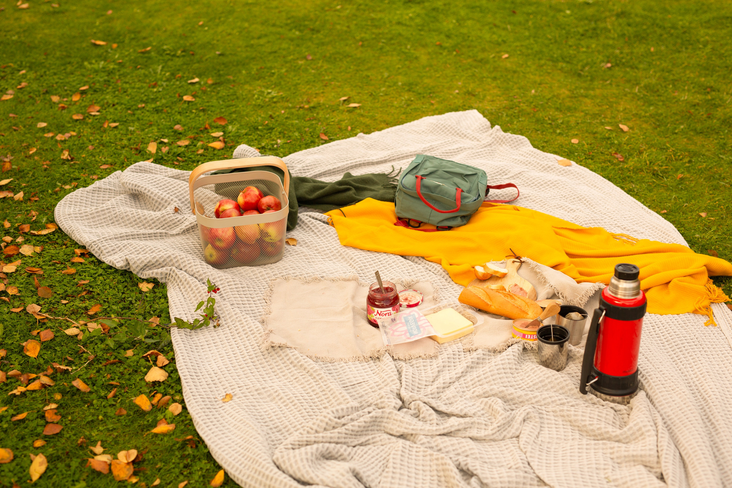 Piknick. Family and real state photographer in Haugesund Dina Vikra