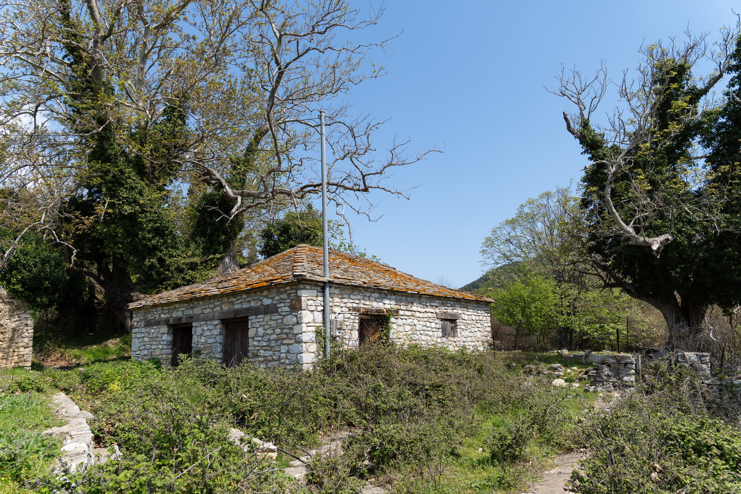 Thasos 2025. Fotografiideplacere.net