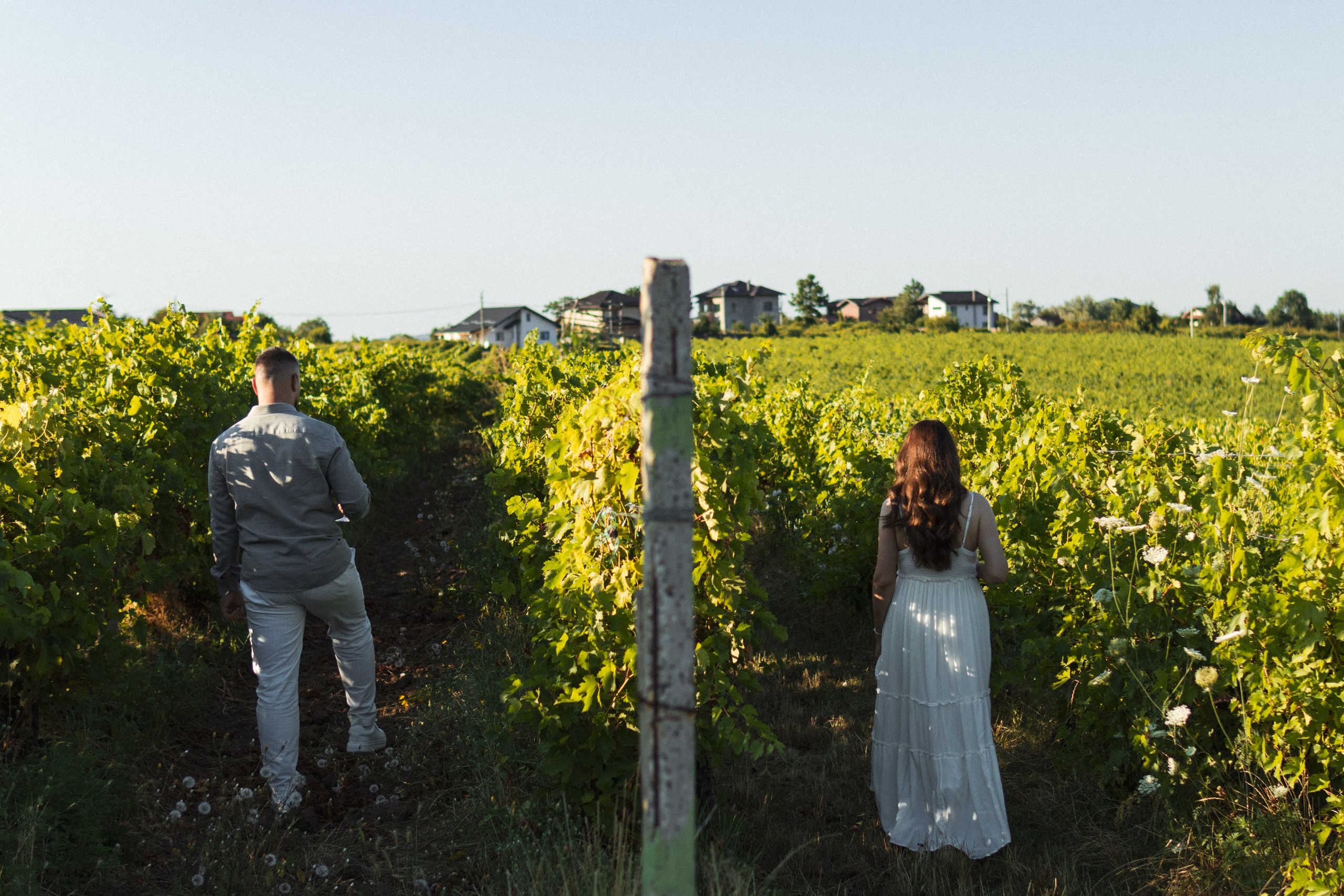 Couple Session — A Vineyard Love Story
