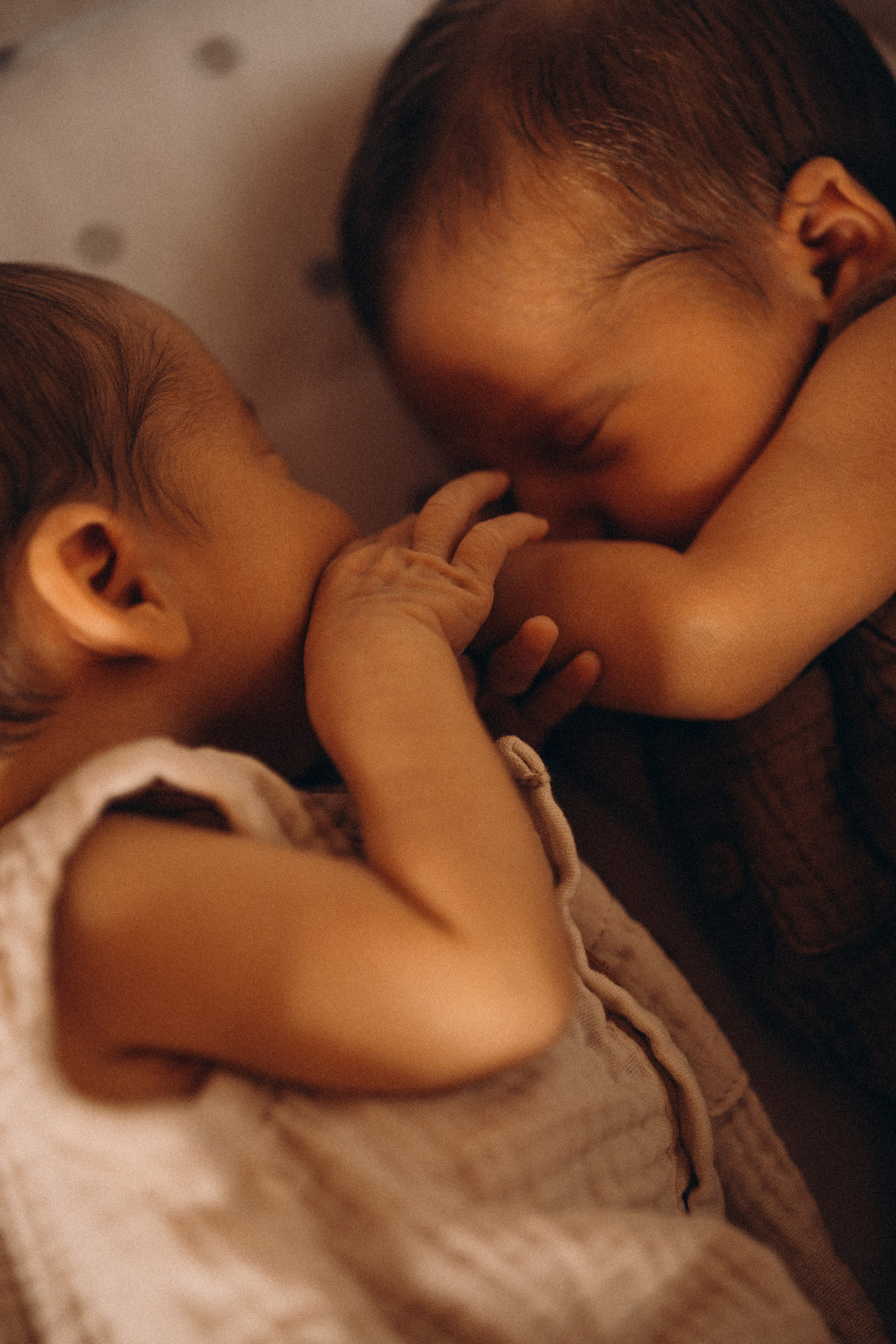 Newborn. Photographer Madeira