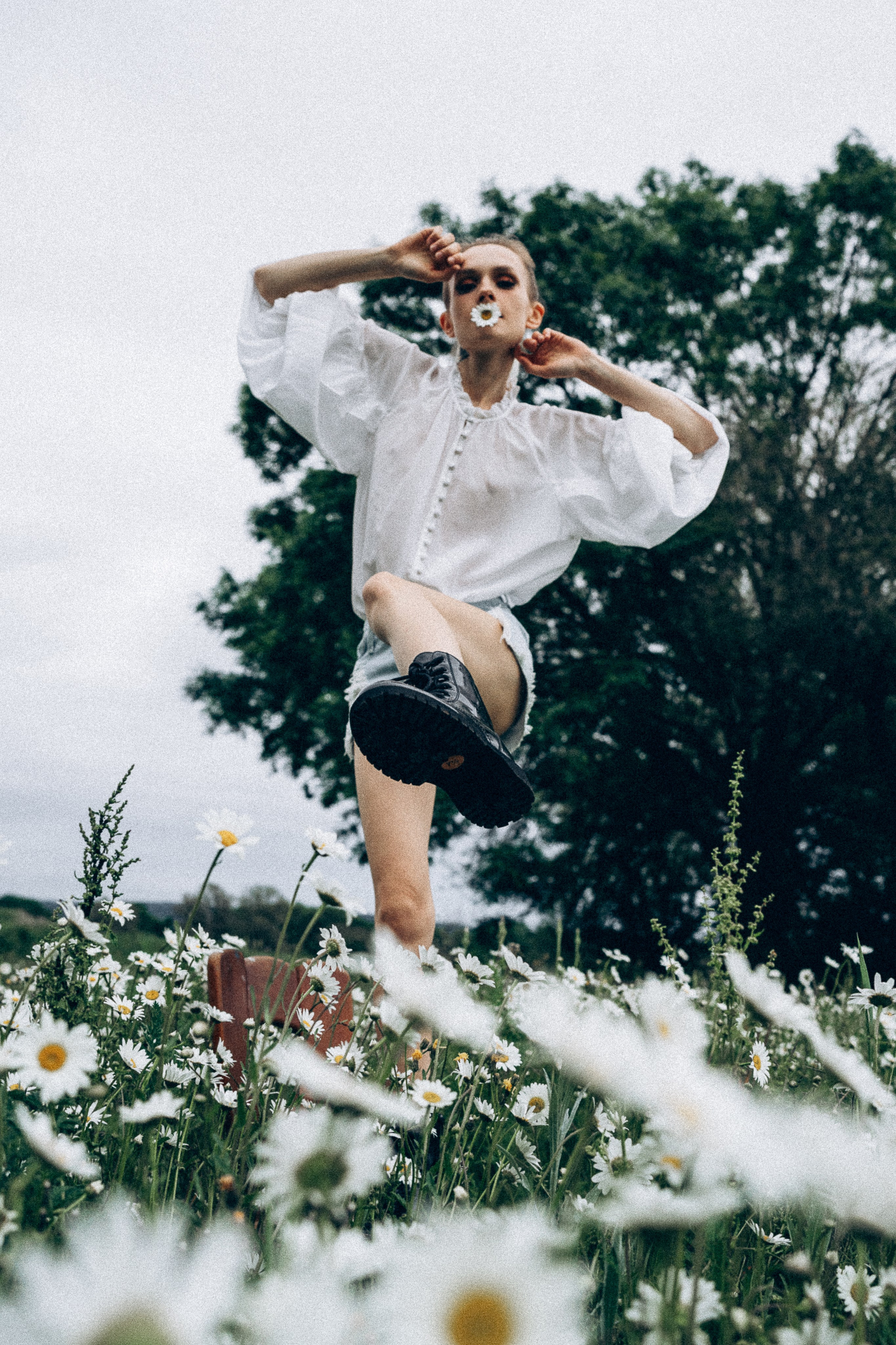 Mohnblumen. Pusteblumen. Familien, Lifestyle und Portrait Fotografin in Trier, Luxembourg