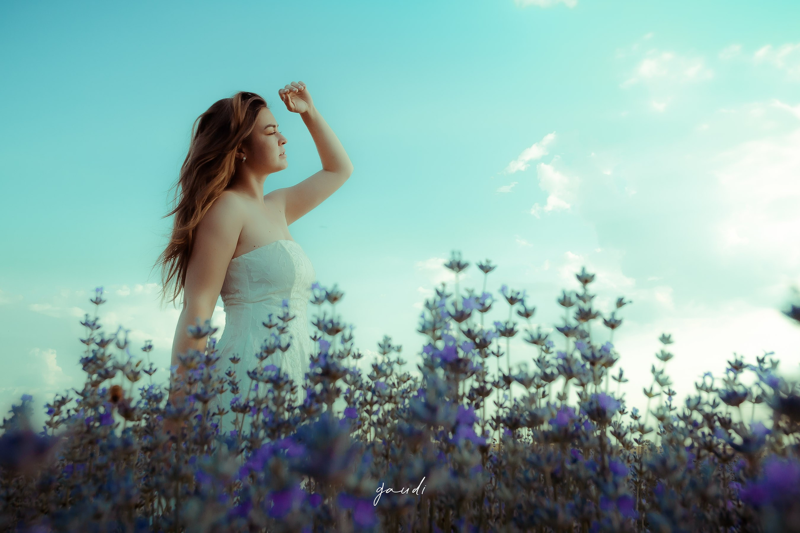 Portofoliu Foto | Gaudi Matei Arhiva fotografii