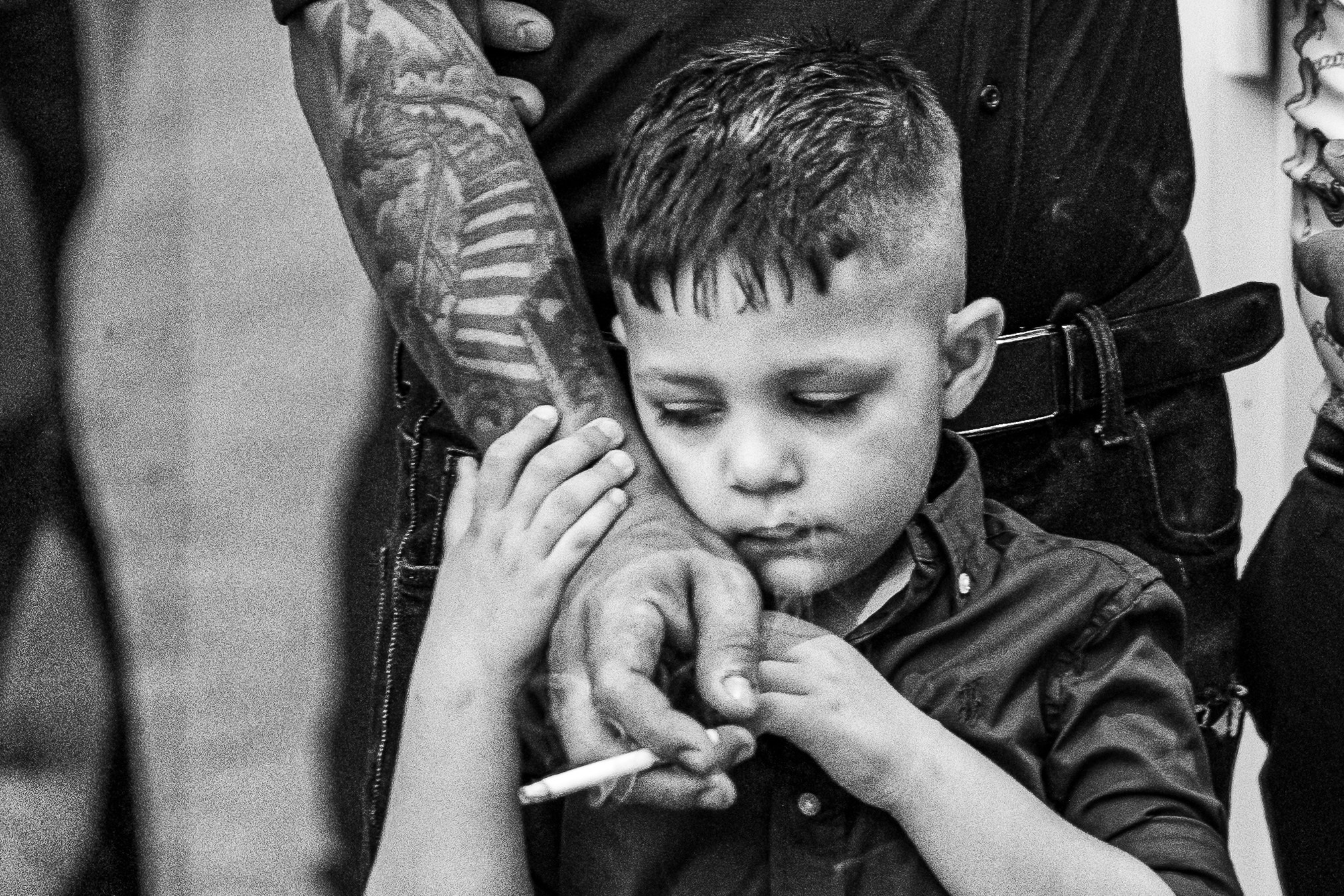 Portofoliu Foto | Gaudi Matei Arhiva fotografii
