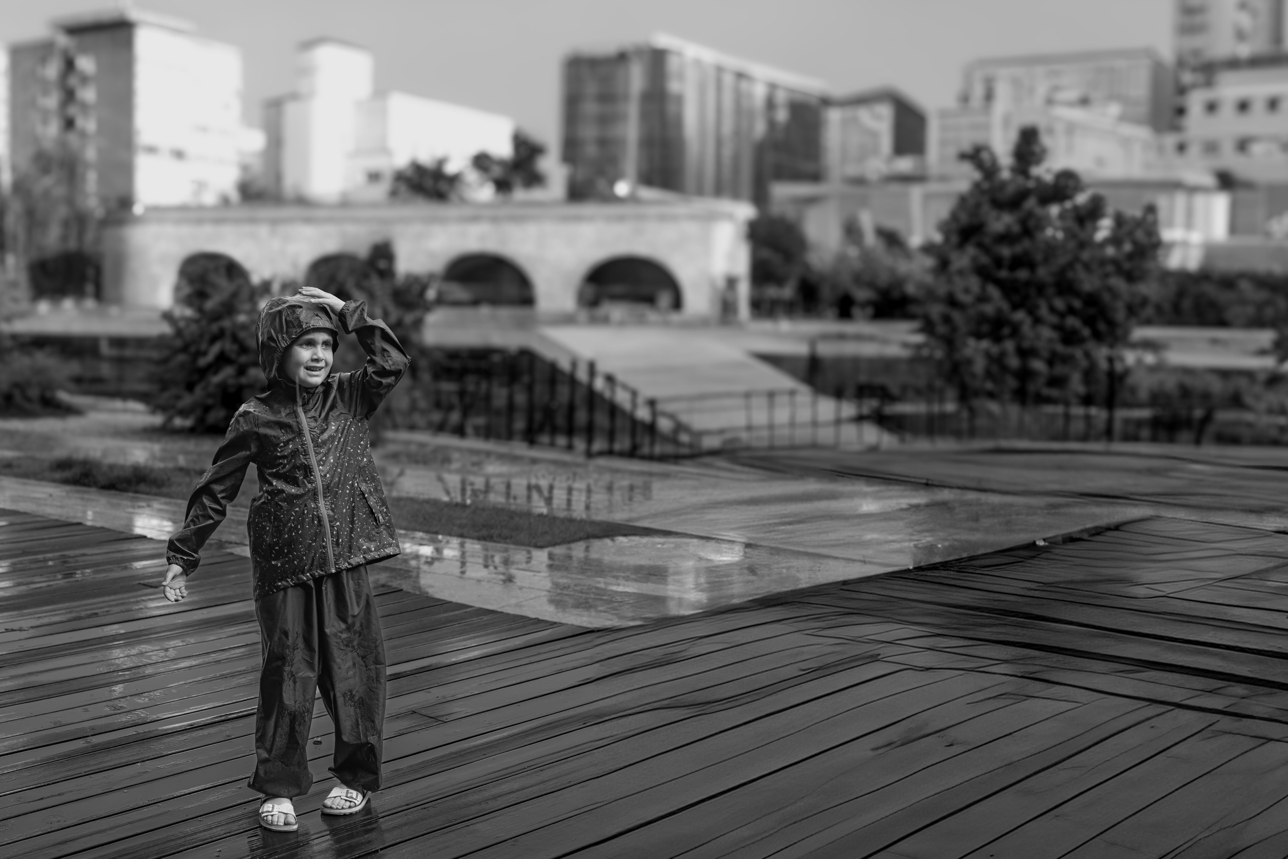 Portofoliu Foto | Gaudi Matei Arhiva fotografii