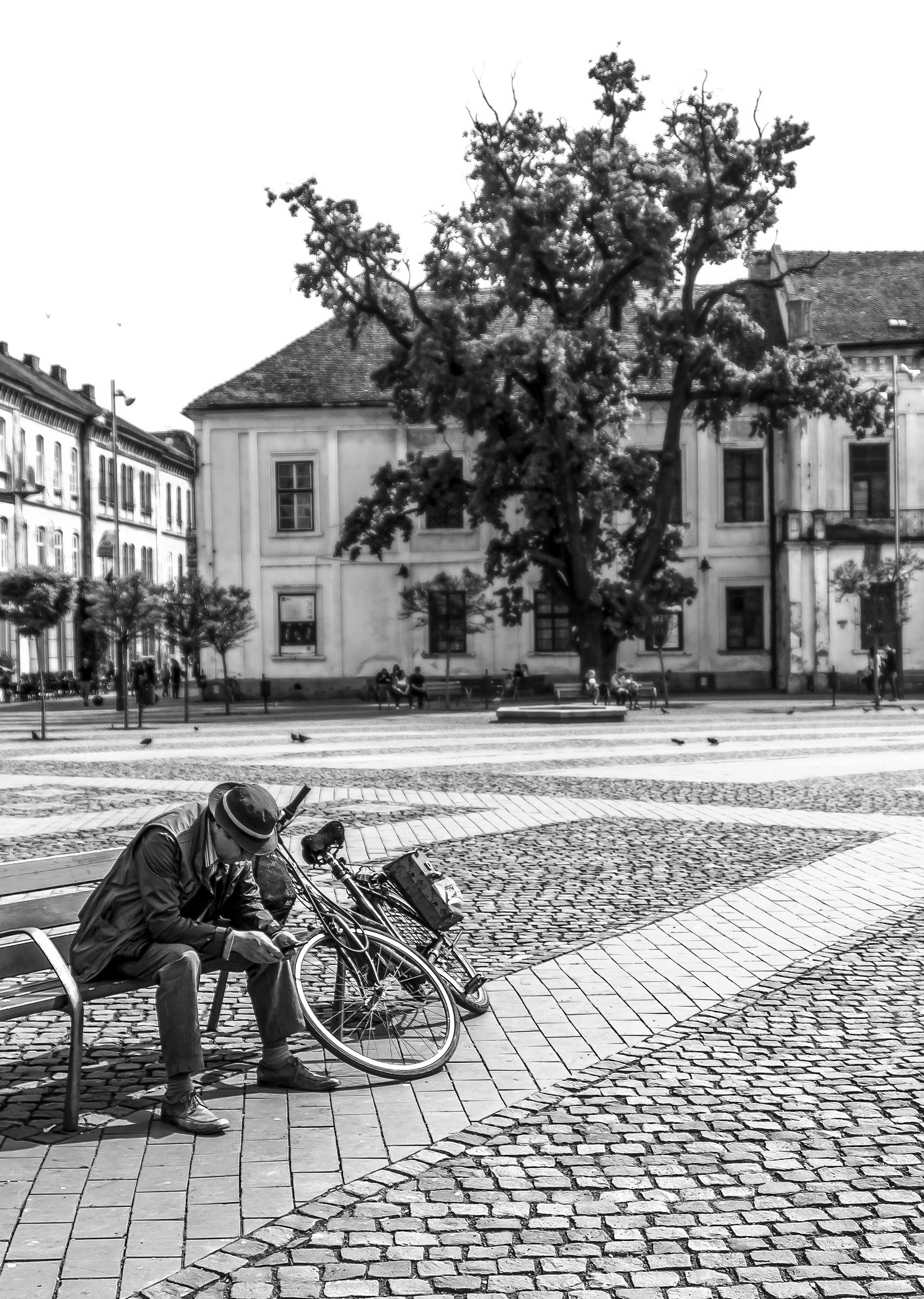 Portofoliu Foto | Gaudi Matei Arhiva fotografii