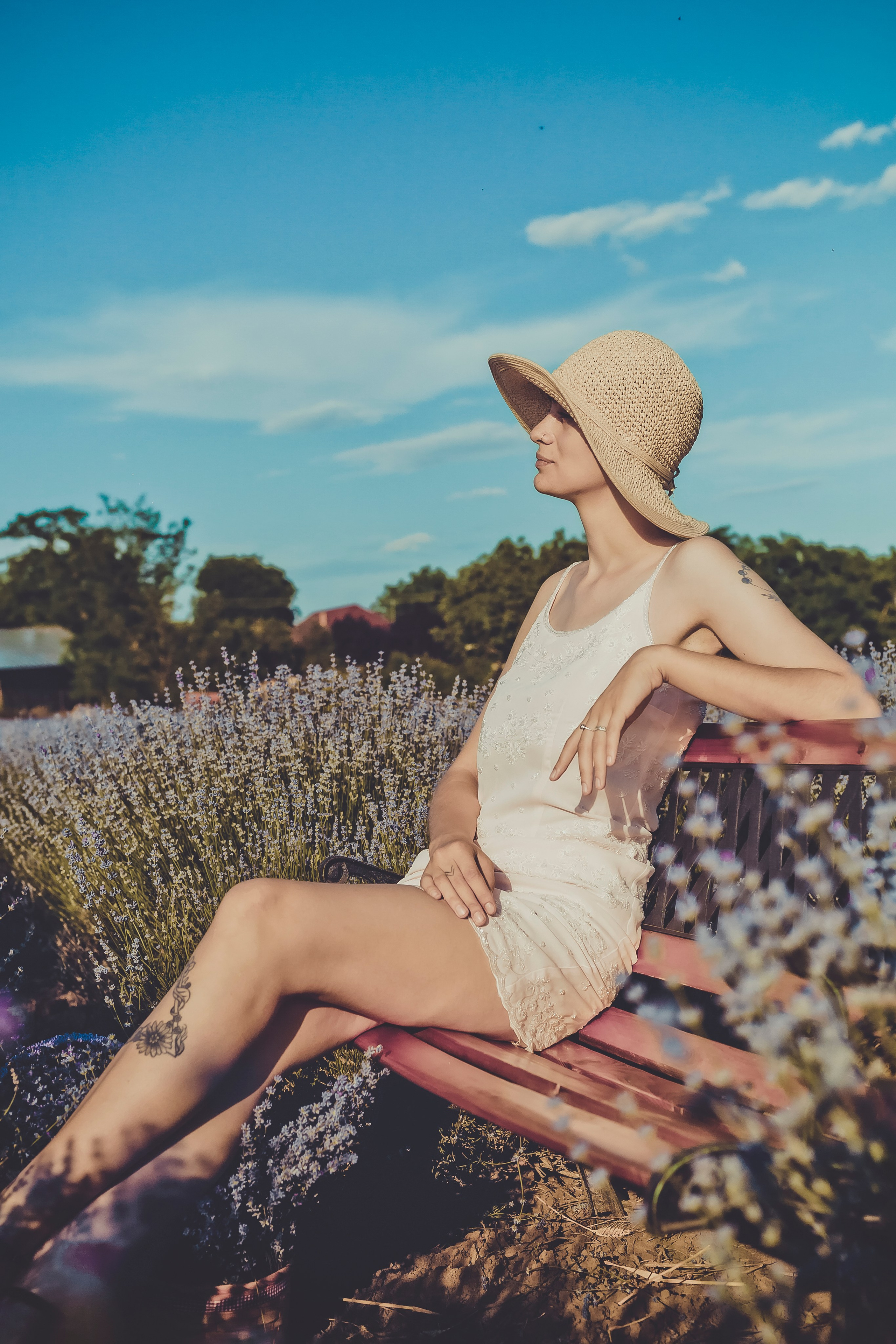Portofoliu Foto | Gaudi Matei Arhiva fotografii