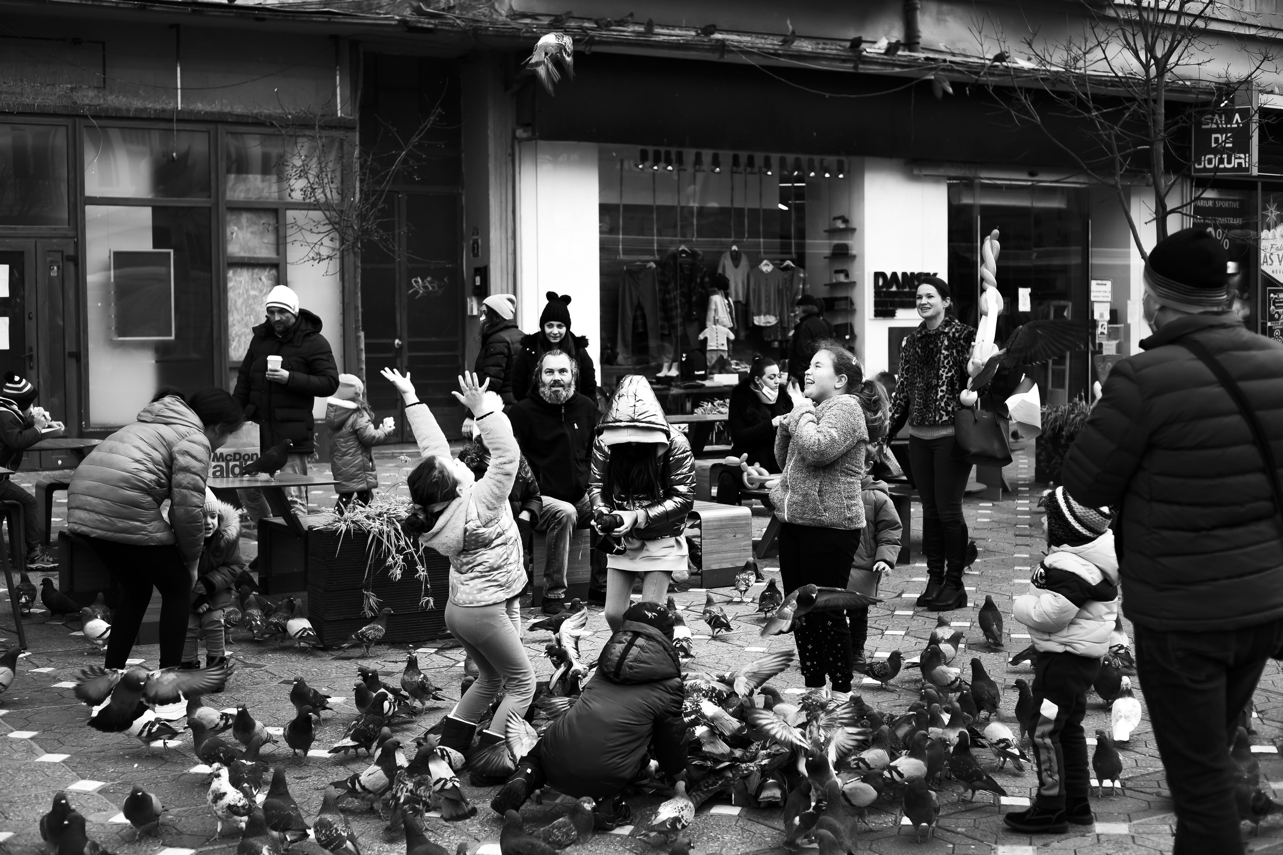 Portofoliu Foto | Gaudi Matei Arhiva fotografii
