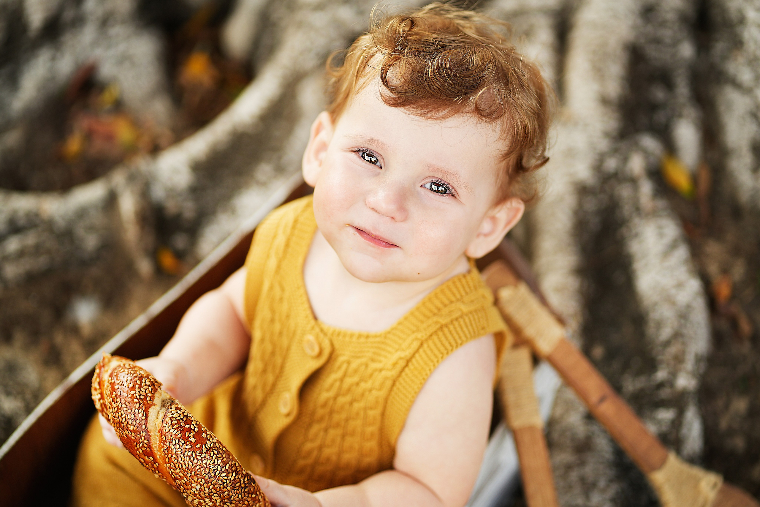 צילומי גיל שנה. צלמת ילדים, הריון ומשפחה בישראל