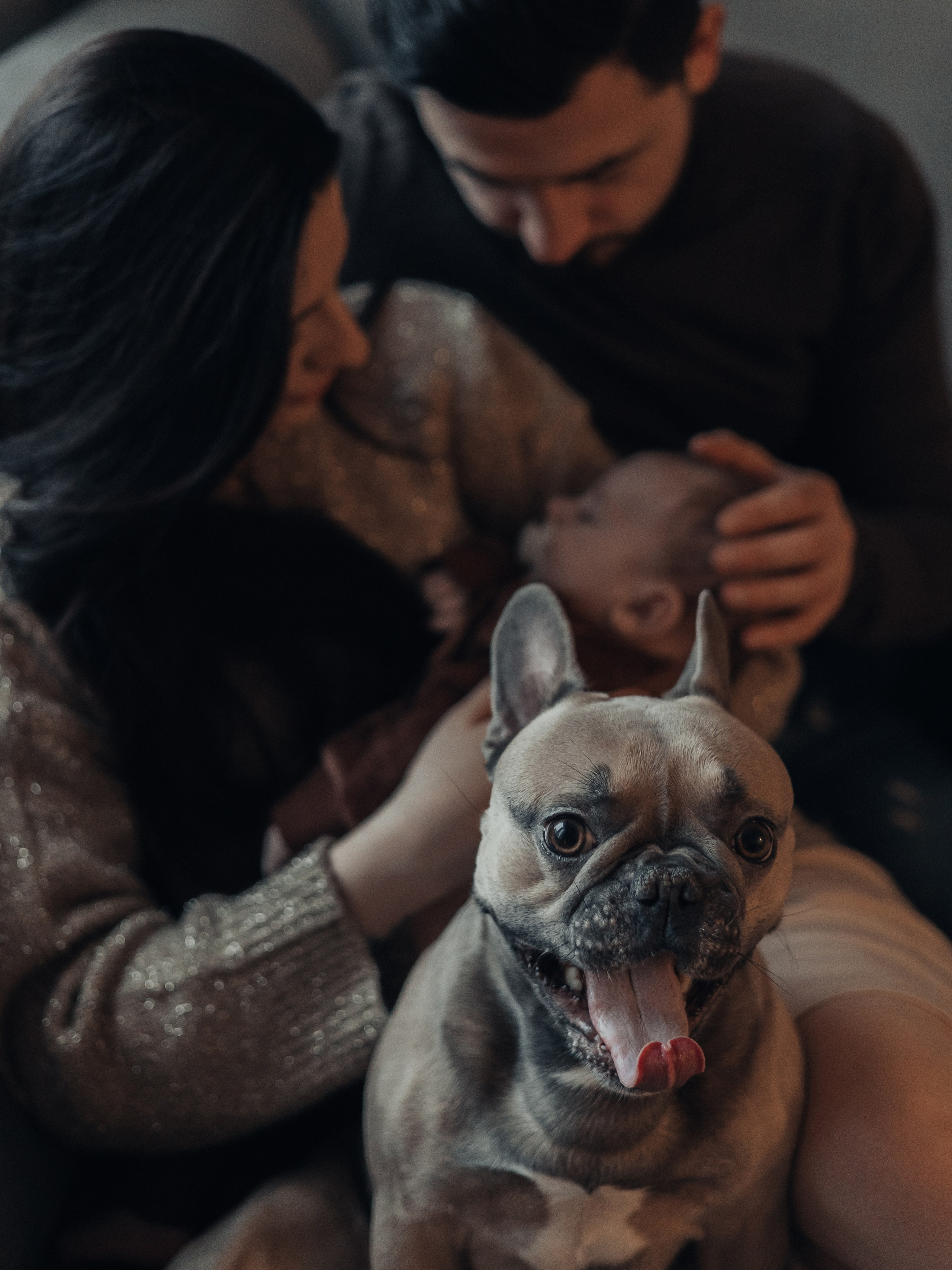 Ингрид, Евгений, Андрей и Джани. Семейный фотограф в Таллинне Дарья Кивимейстер