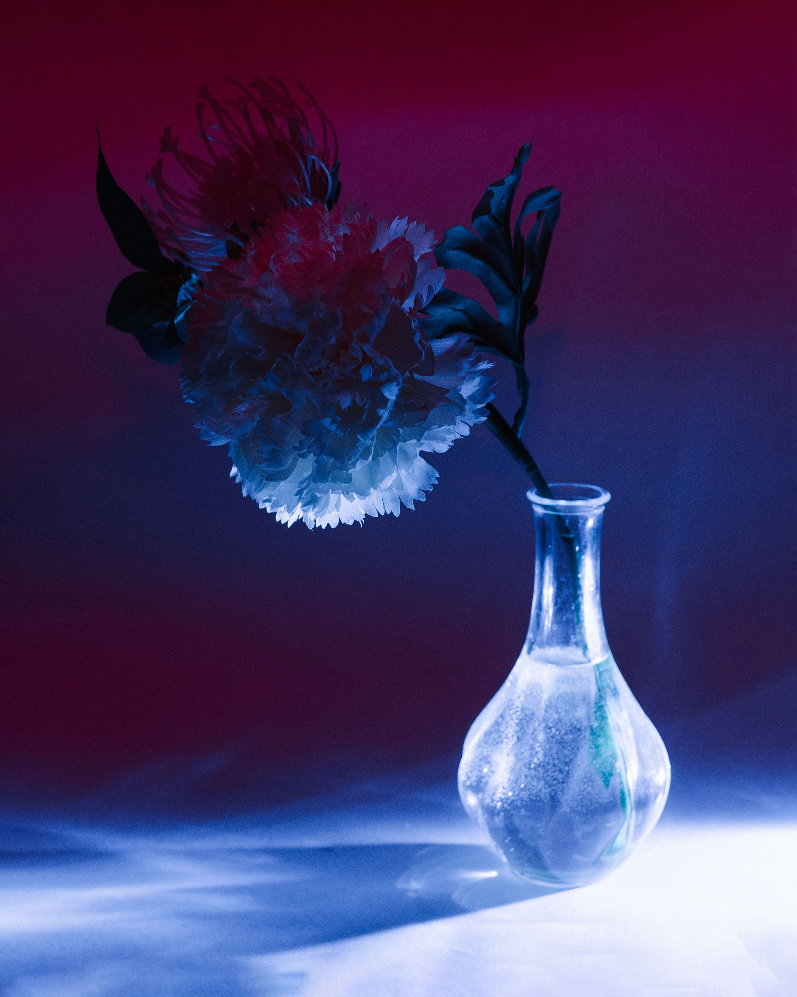 Still life. Hey, that’s me, sarah