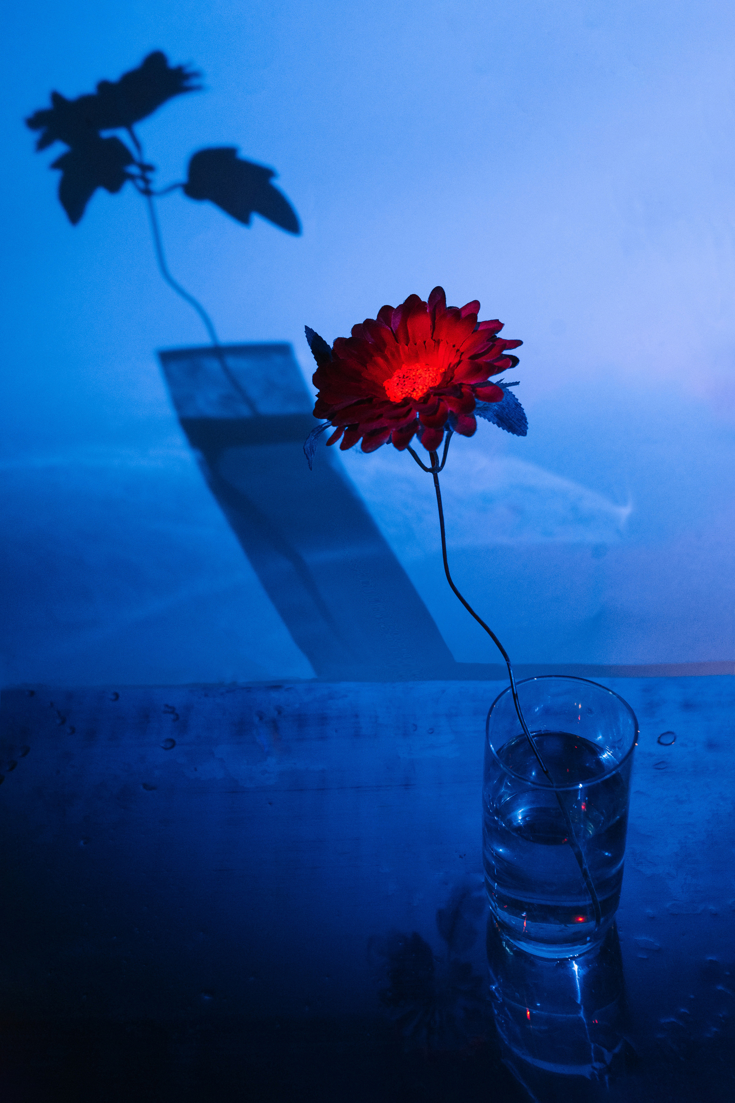 Still life. Hey, that’s me, sarah