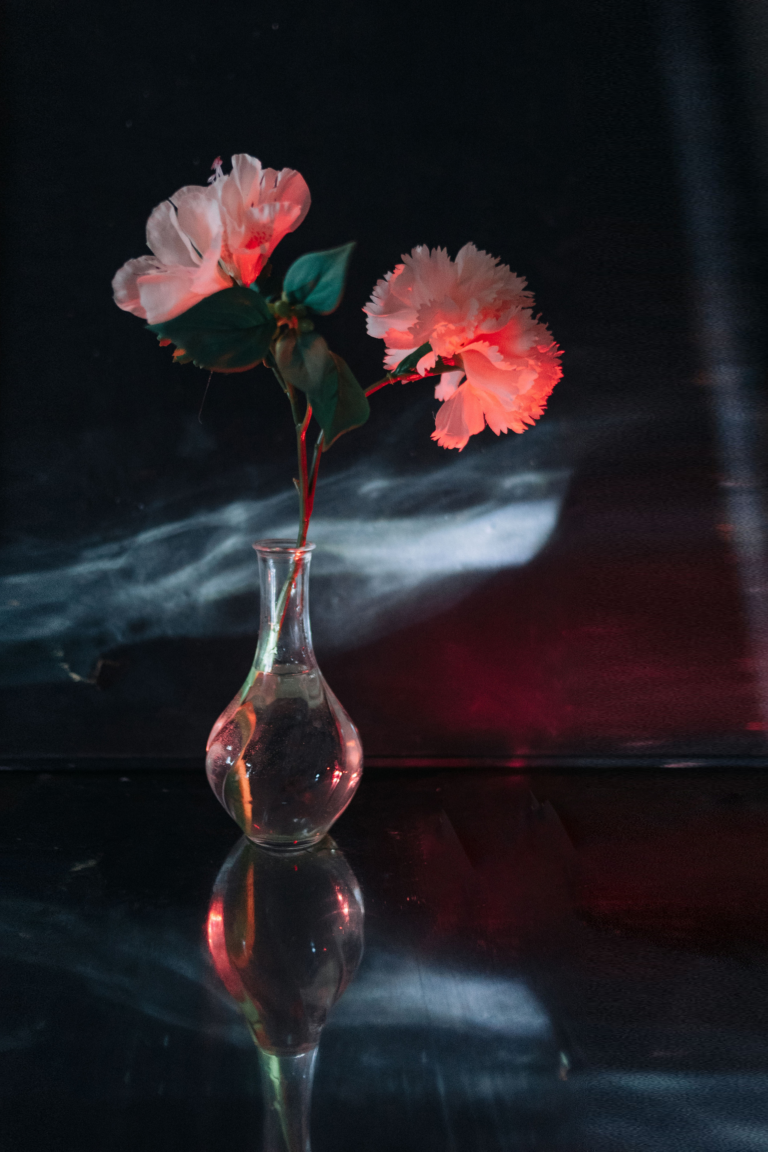 Still life. Hey, that’s me, sarah