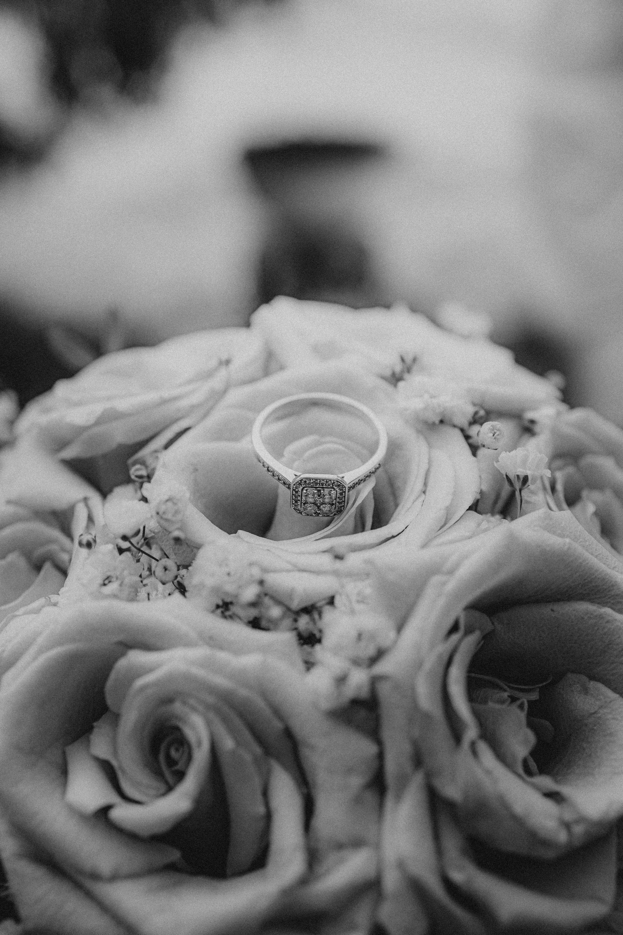 L&B. George Laslău Fotograf