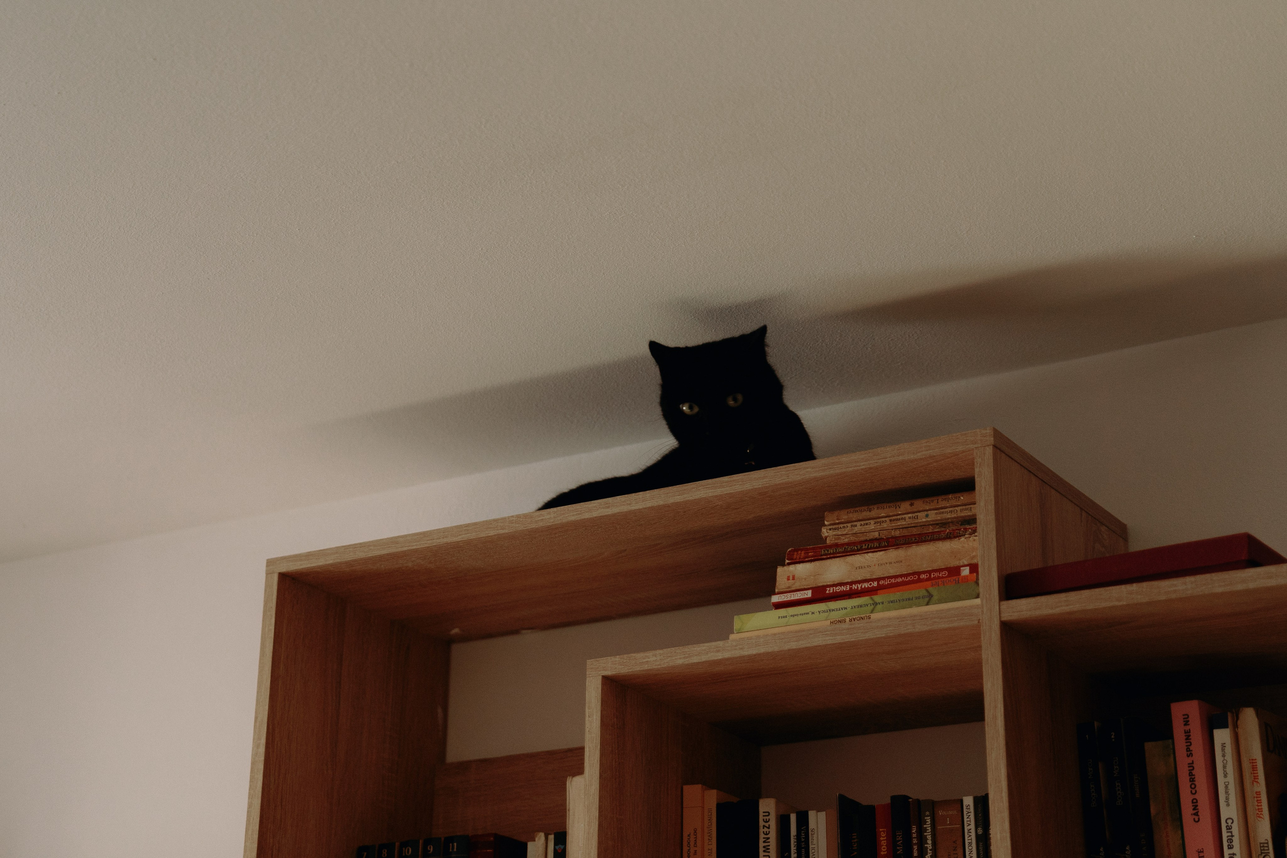 Andreea & Emanuel. STORYCATCHERS