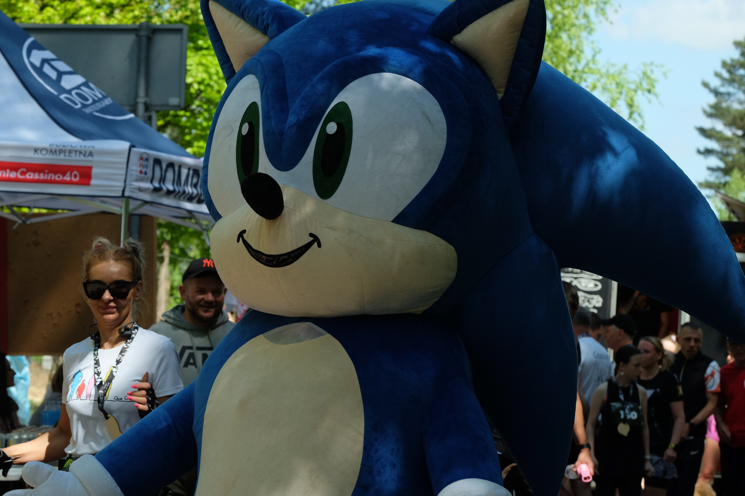 Aleksandryjska Piątka po lesie. Main