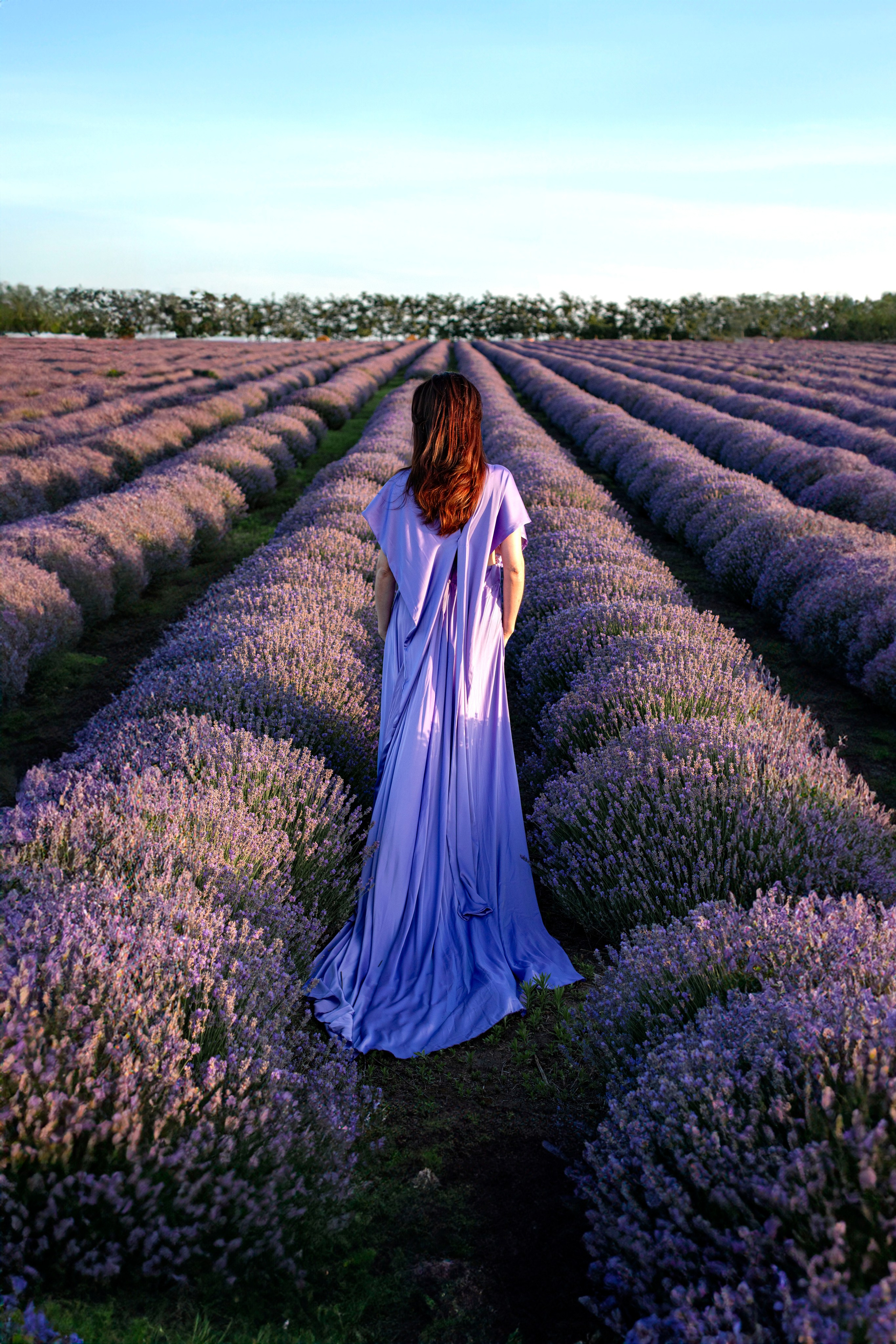 Лаванда. Детский и семейный фотограф в г. Бельцы