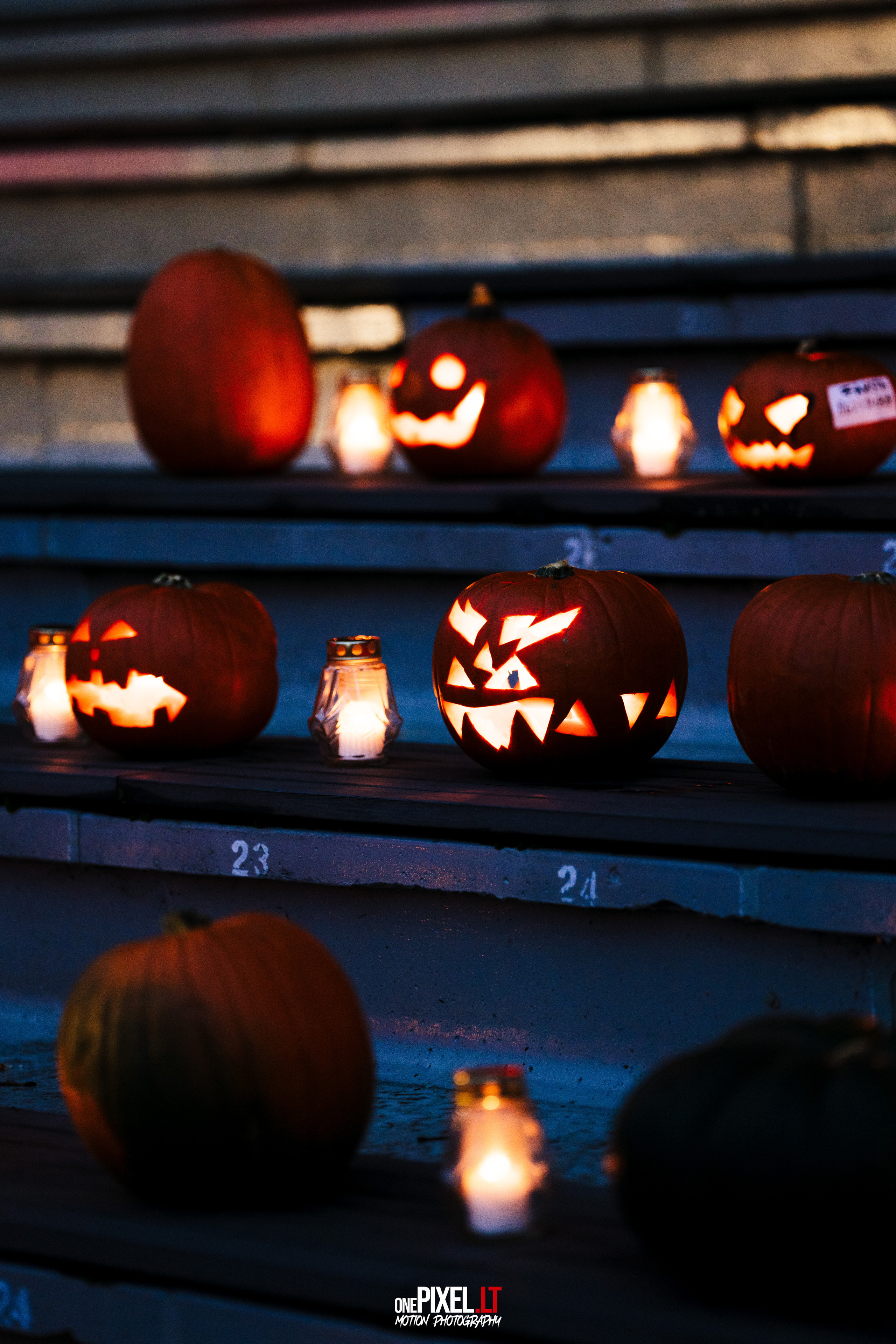 ZOMBIE RUN 2022. OnePIXEL