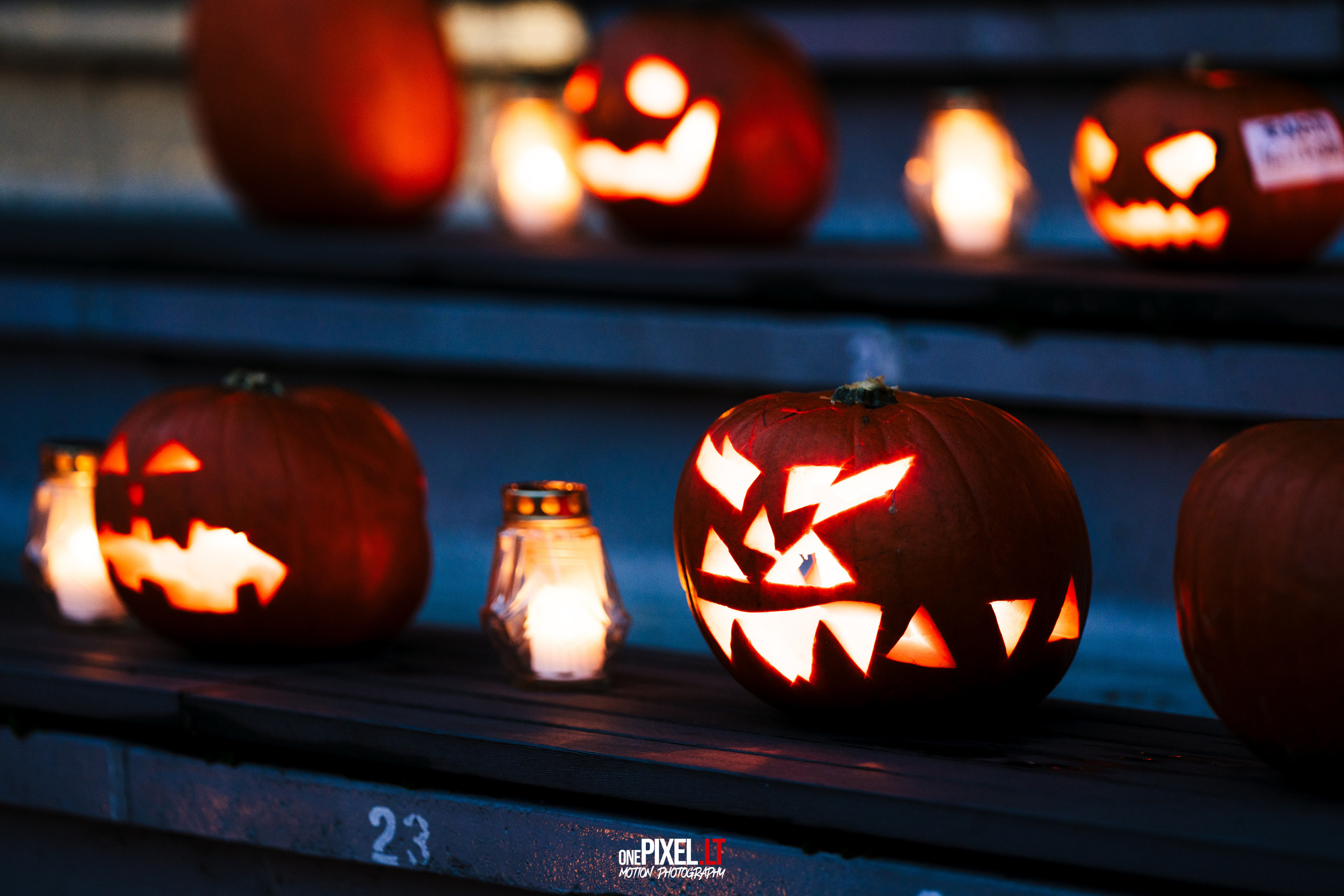 ZOMBIE RUN 2022. OnePIXEL