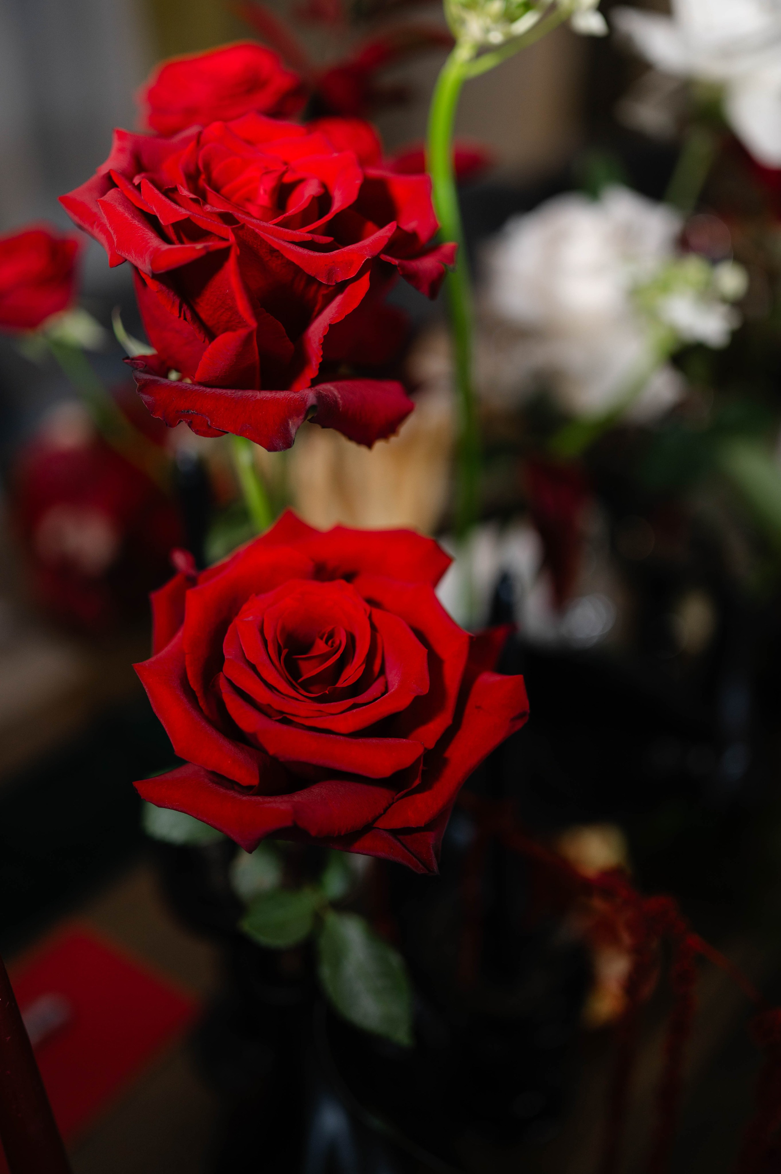 Wedding photos. Alexandra Hanu Photographer