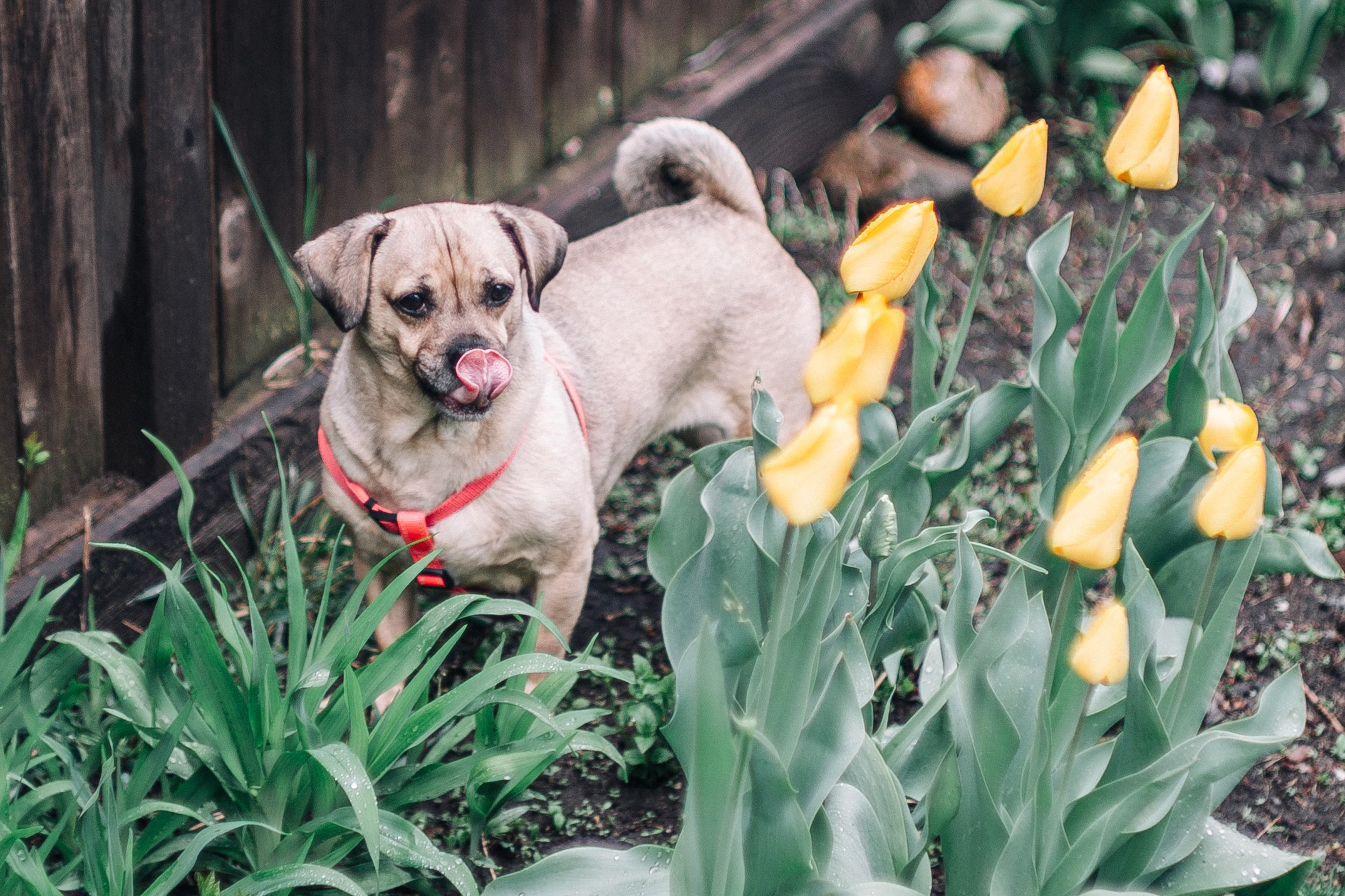 Moments. ARTIGO Igor Rudyi Art Photography