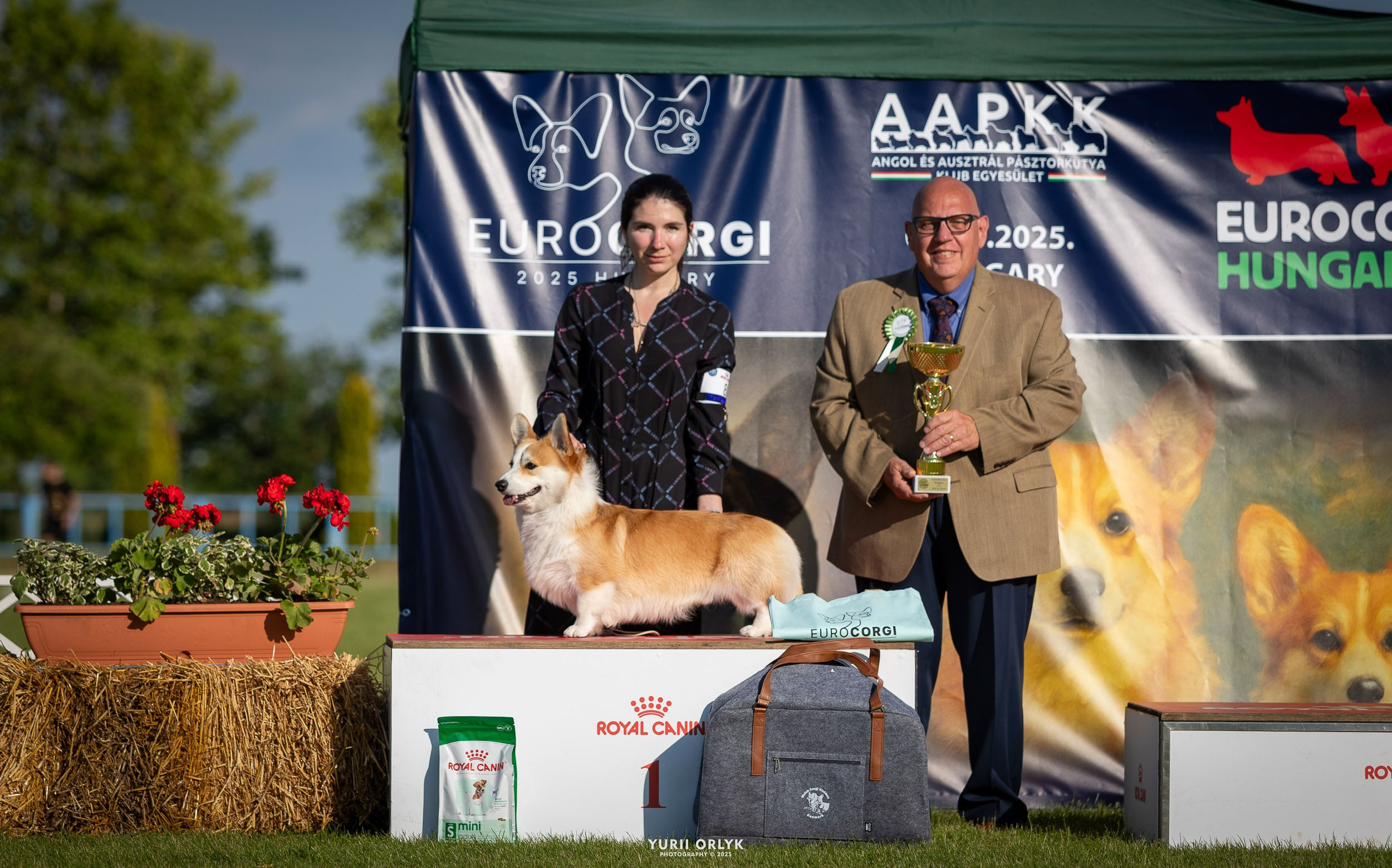Dog Shows. Yurii Orlyk Photography