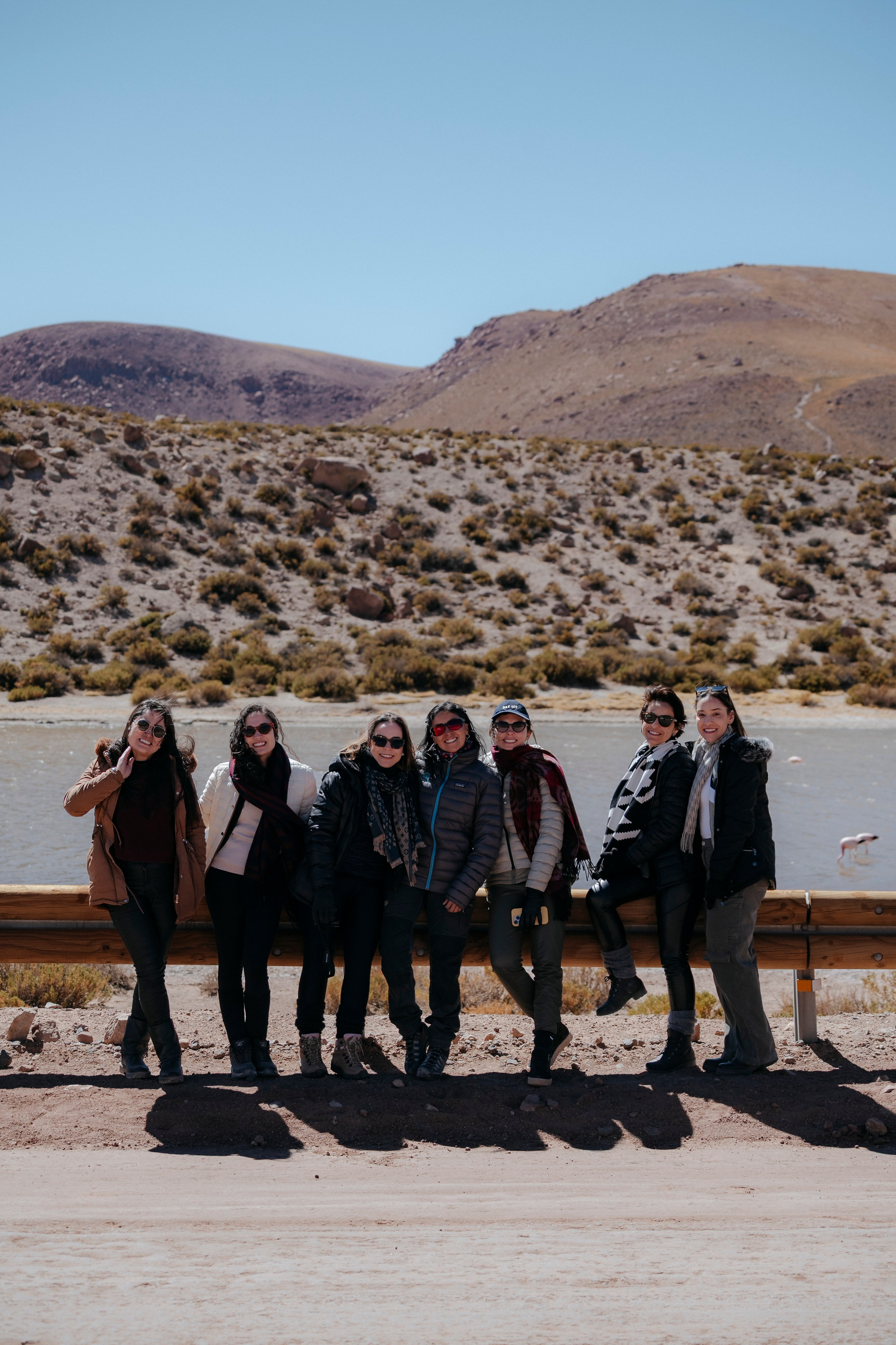 Geyser El Tatio (cobertura en tour privado). Principal