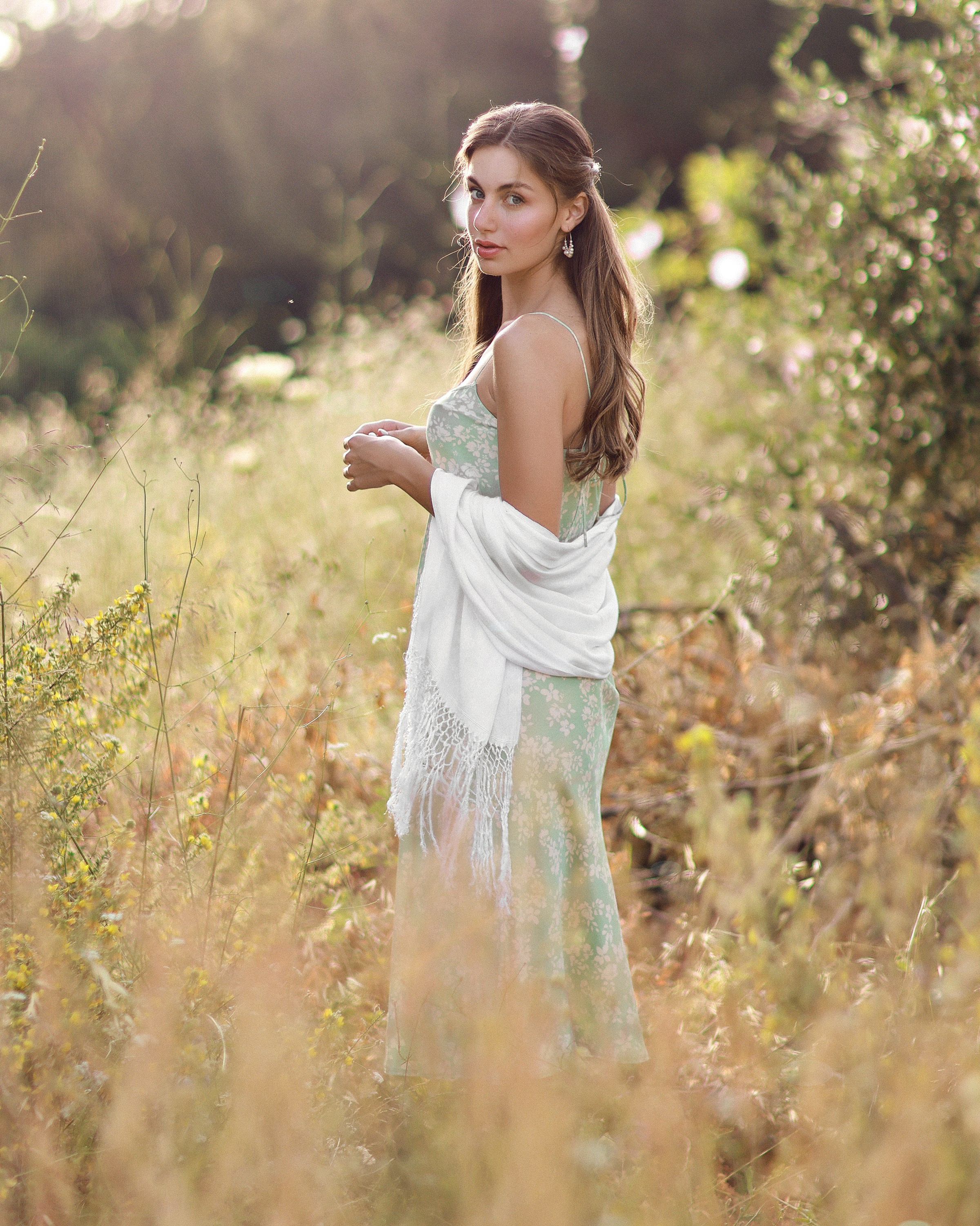 Diana Olive Tree. Dana