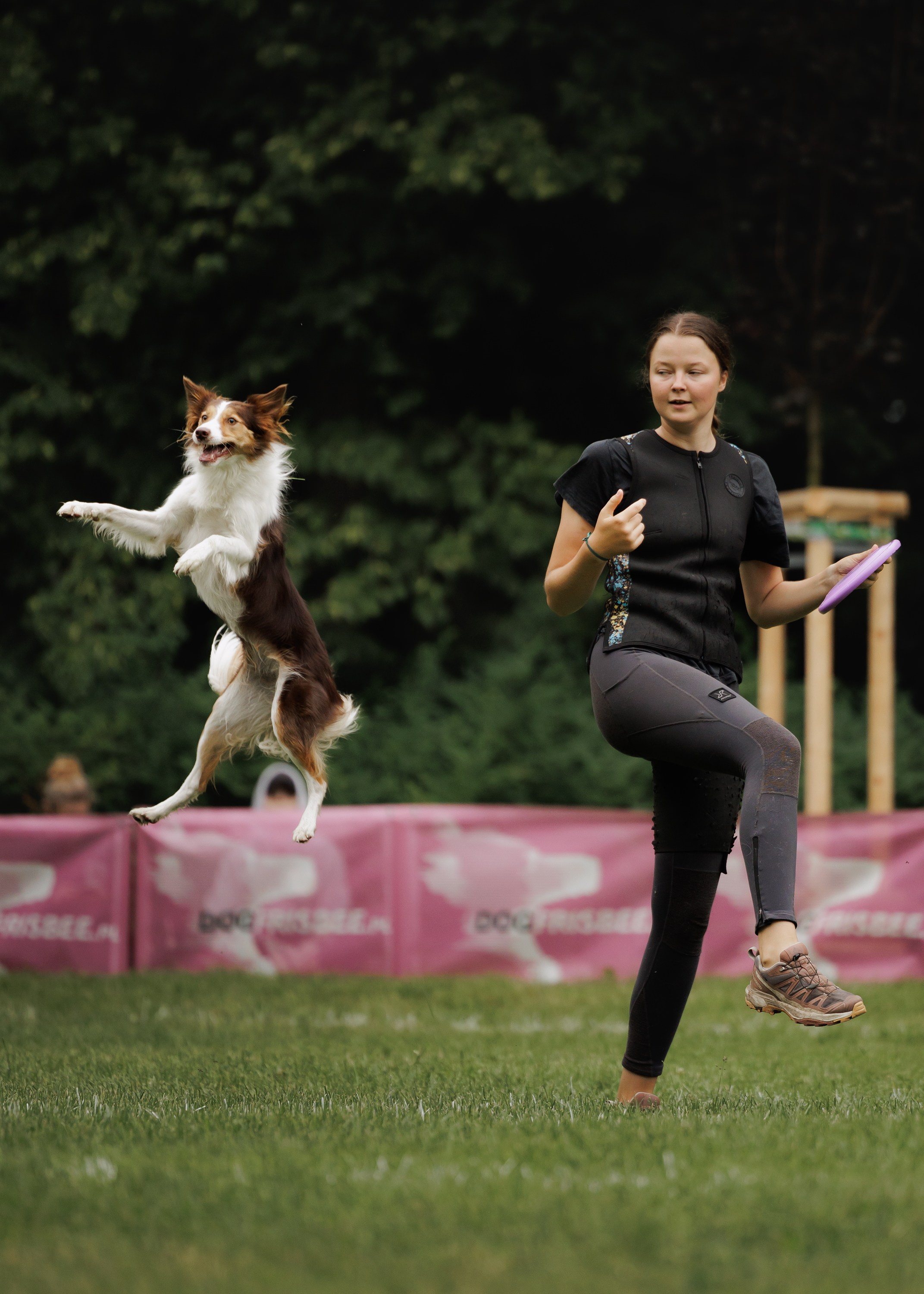 Latające psy, Wrocław'25. Kaja | fotograf psów we Wrocławiu