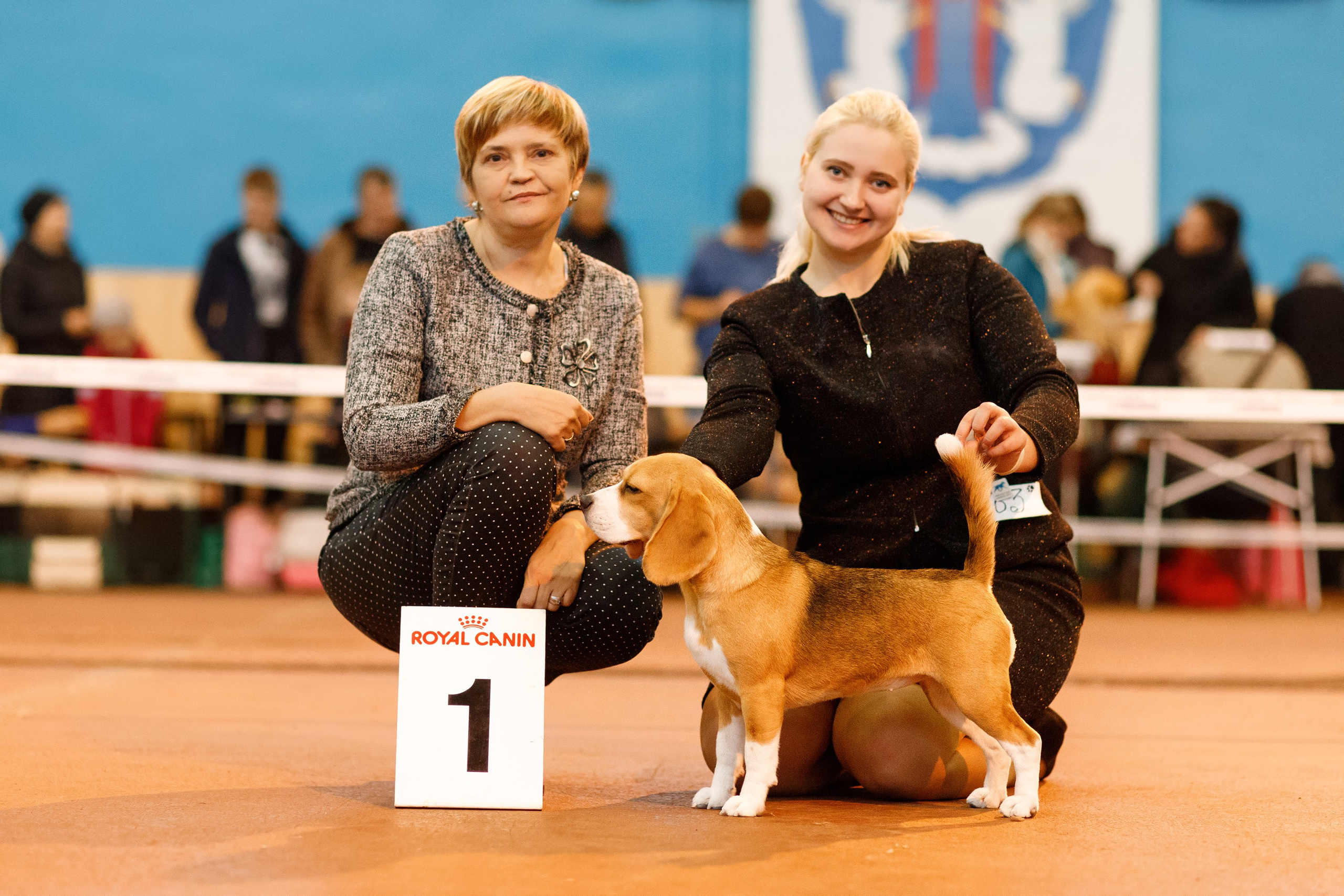 Dog shows | the best ones. Kaja | fotograf psów we Wrocławiu