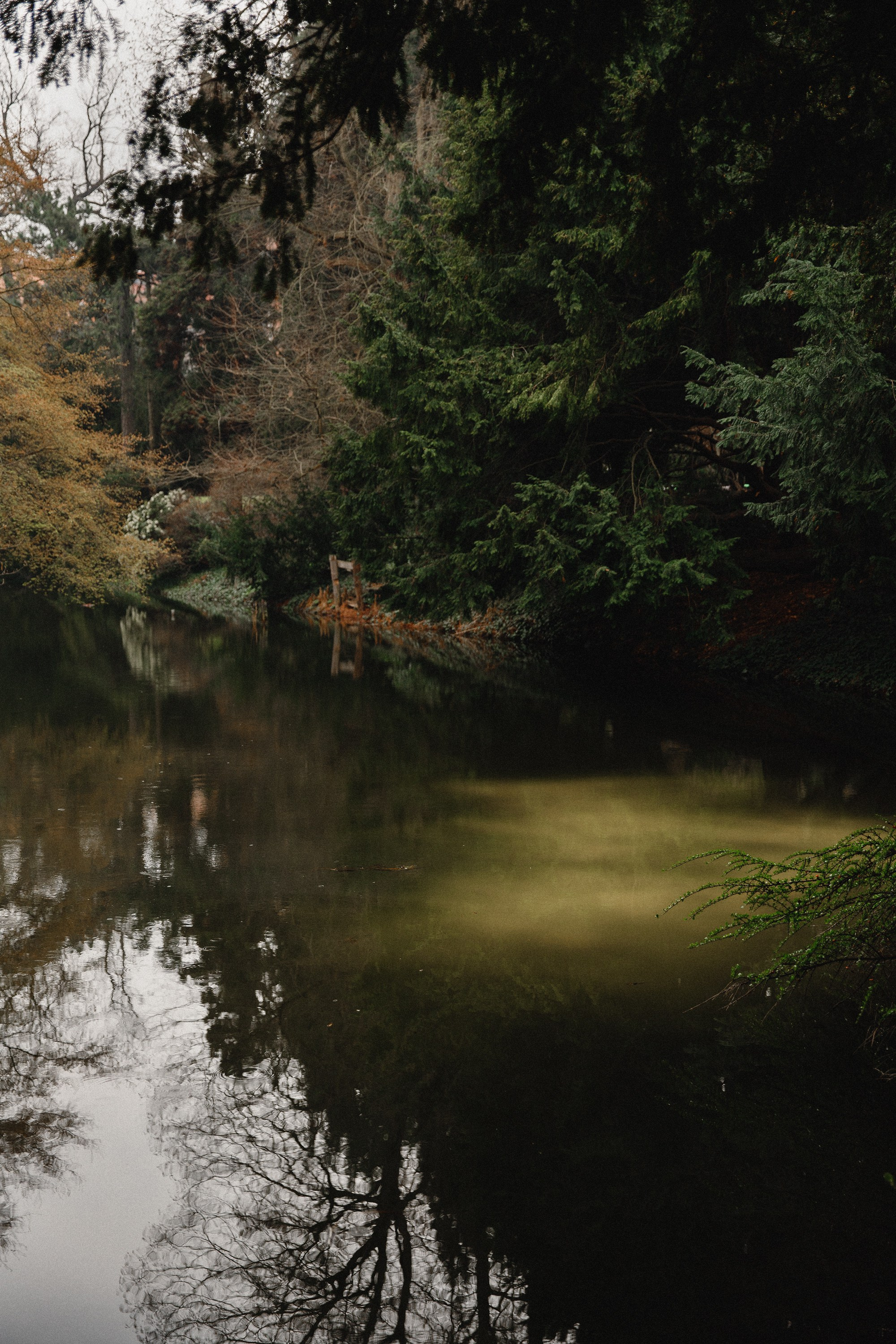 Botanical garden in Wroclaw. Kaja | fotograf we Wrocławiu | ludzie i psy