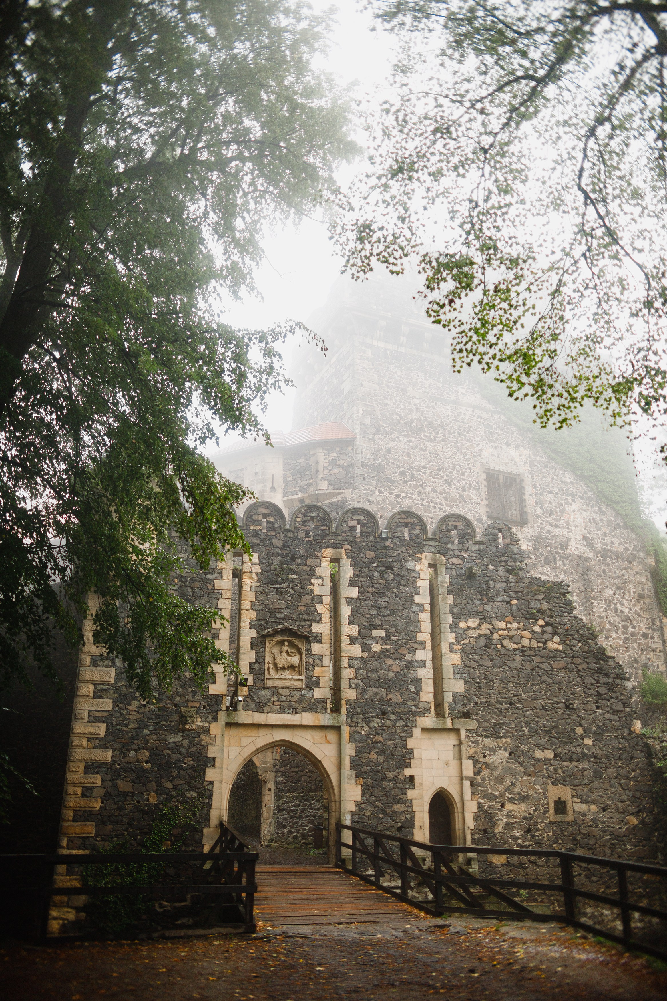 Zamek Grodziec. Kaja | fotograf psów we Wrocławiu