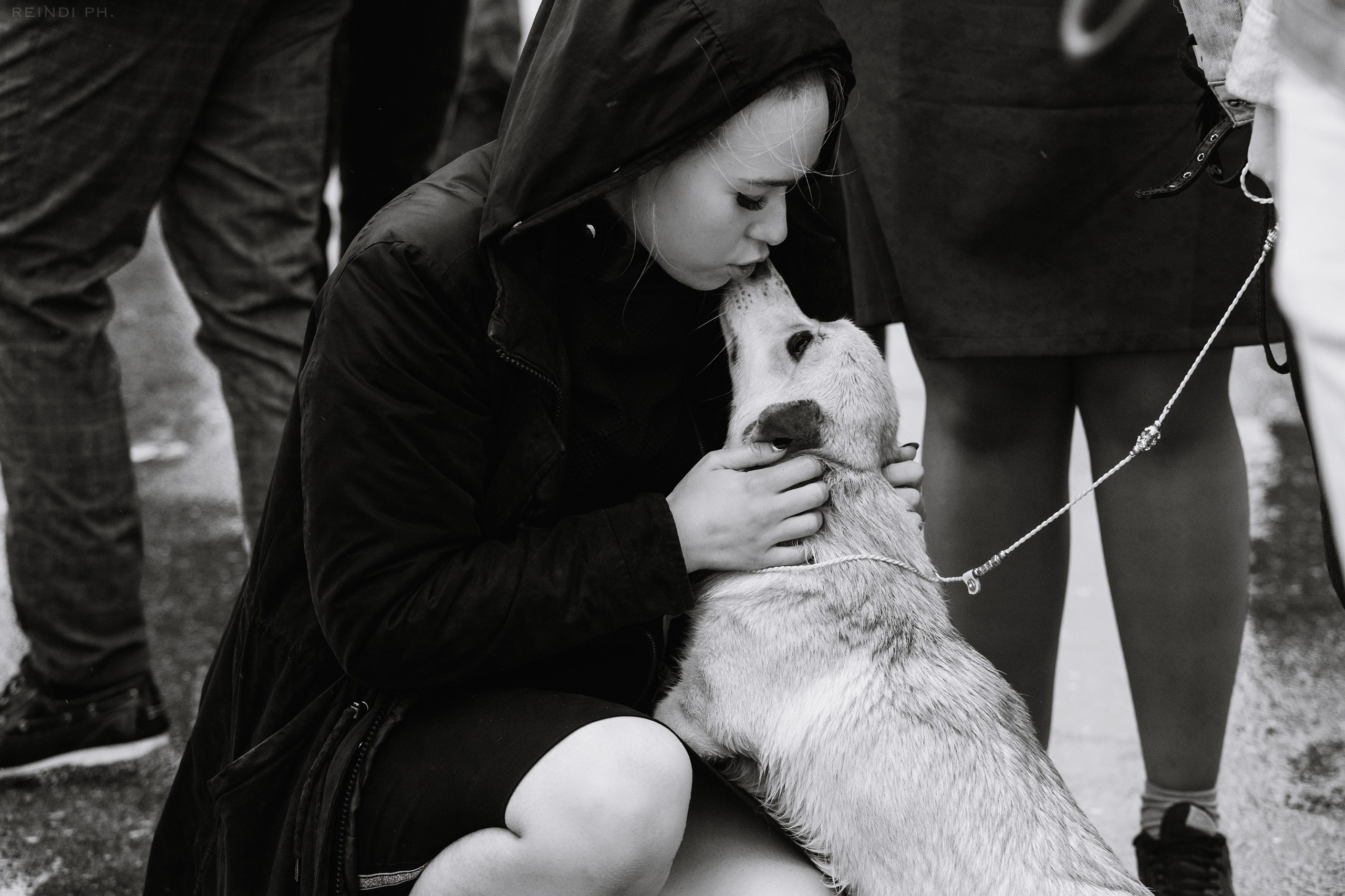 Rainy dog show in Grodno. Kaja | fotograf we Wrocławiu | ludzie i psy