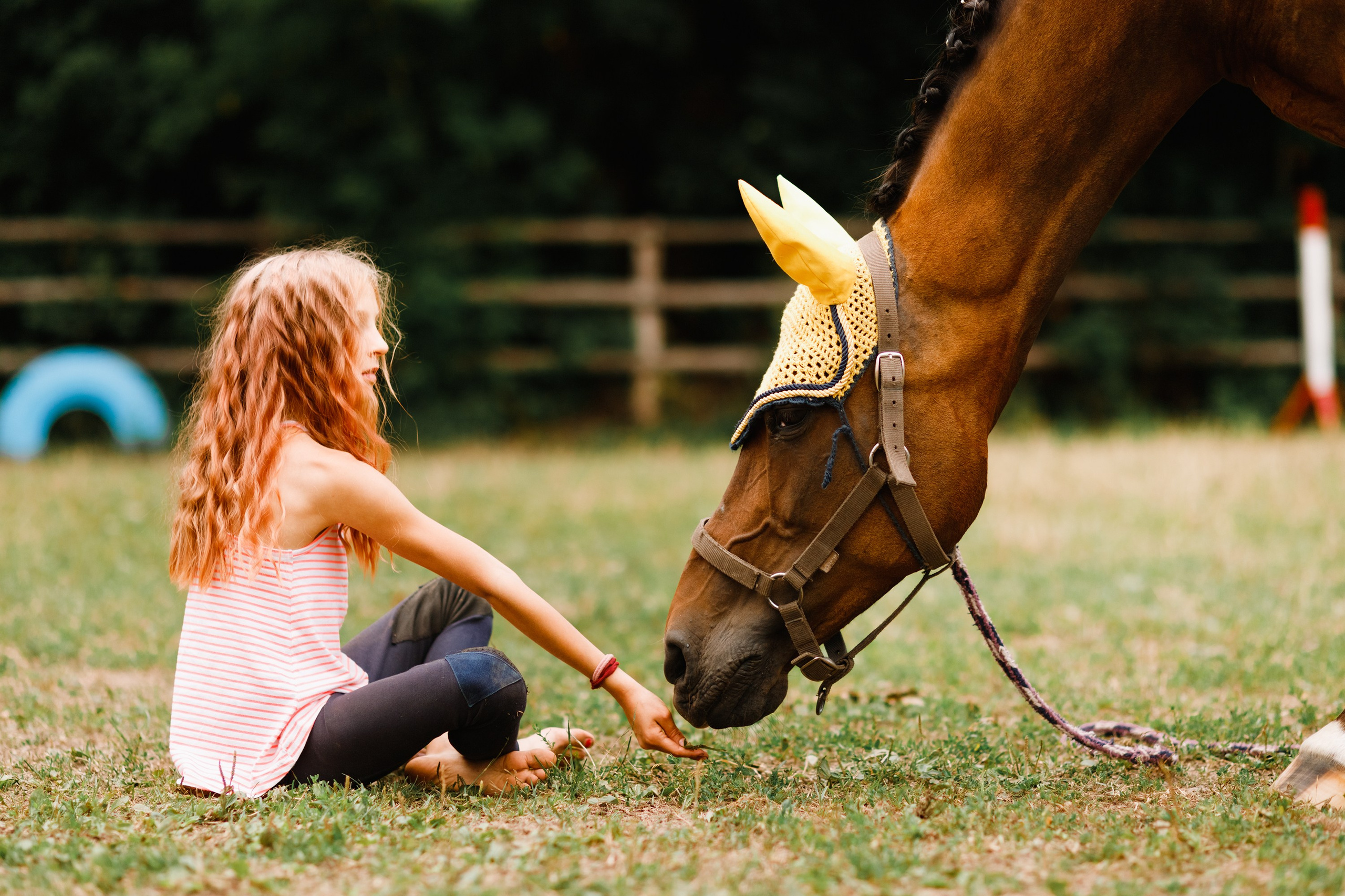 Girls & horses, summer. Kaja | fotograf psów we Wrocławiu