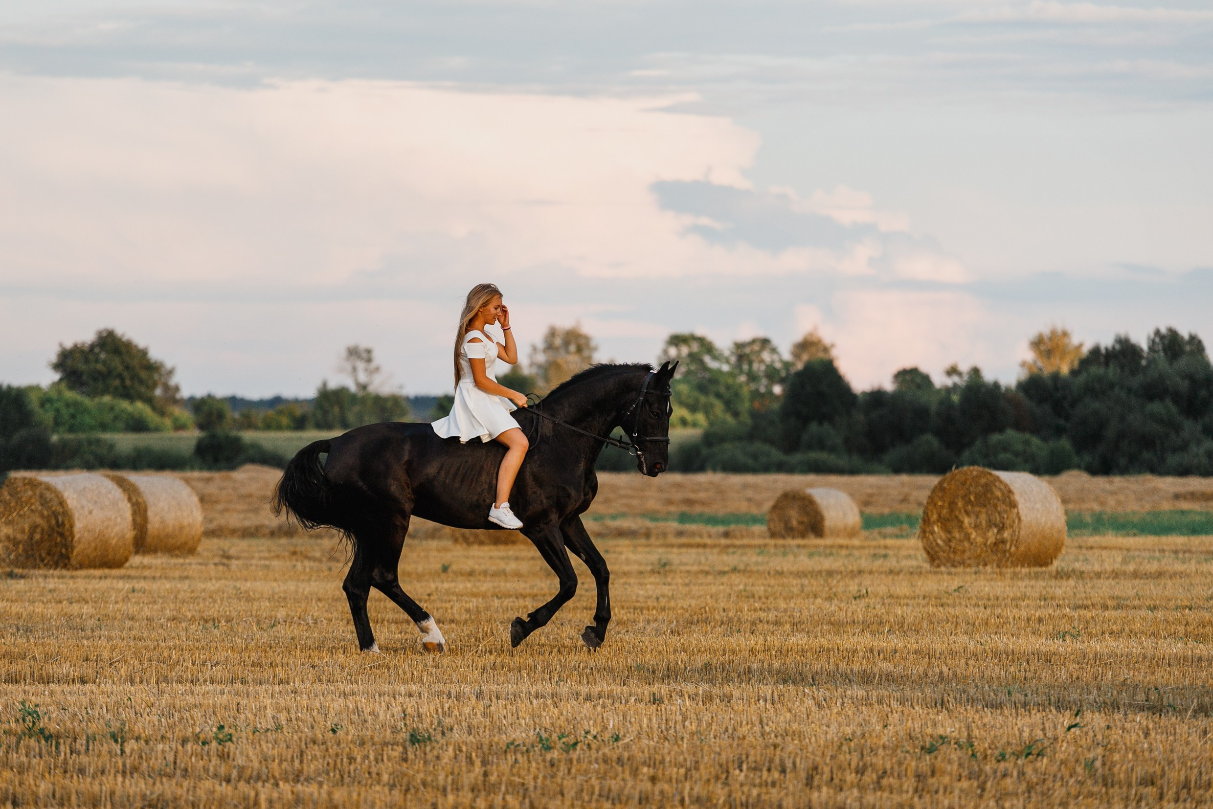 One sunset. Kaja | fotograf psów we Wrocławiu