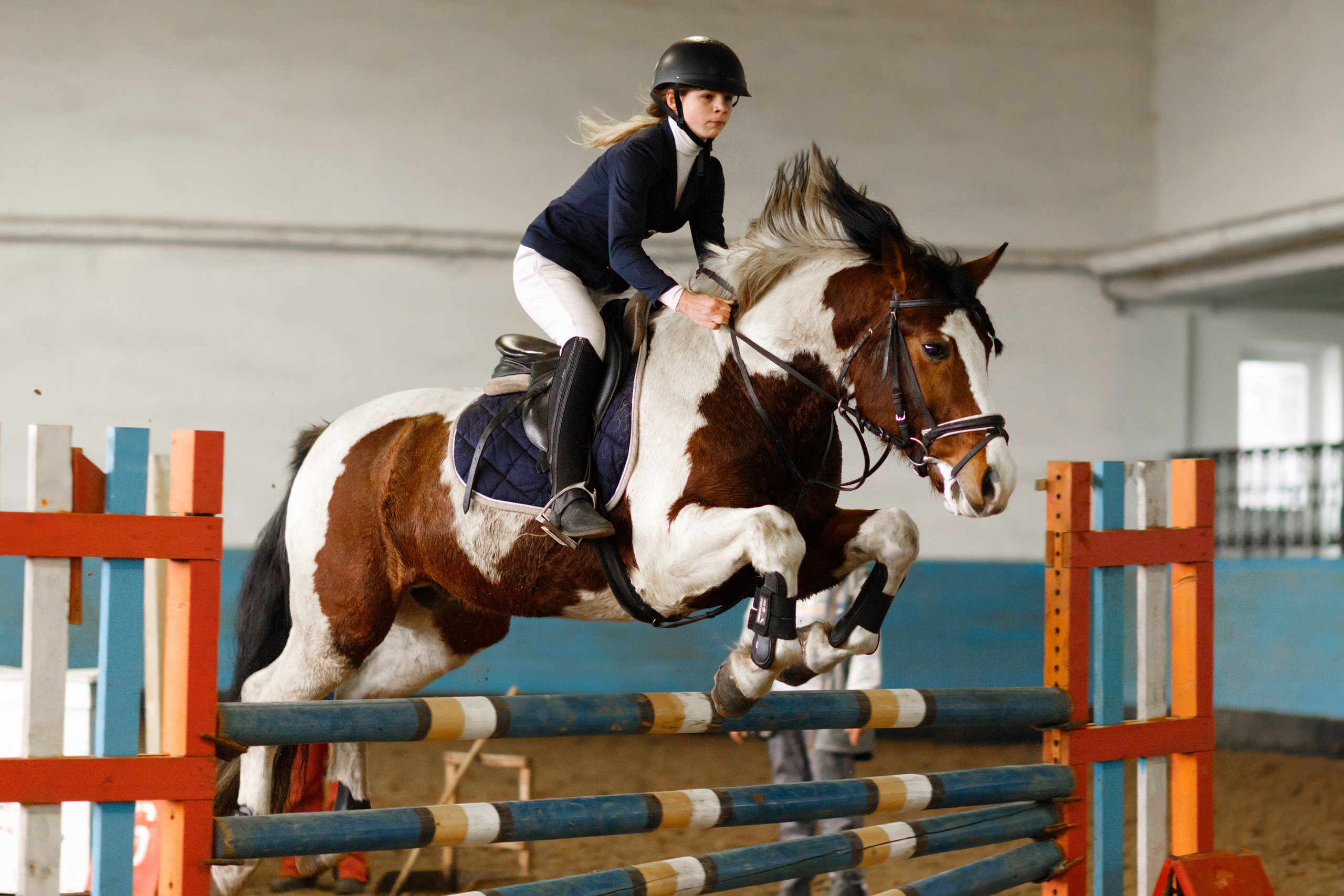 Winter show jumping in «Progress». Kaja | fotograf we Wrocławiu | ludzie i psy