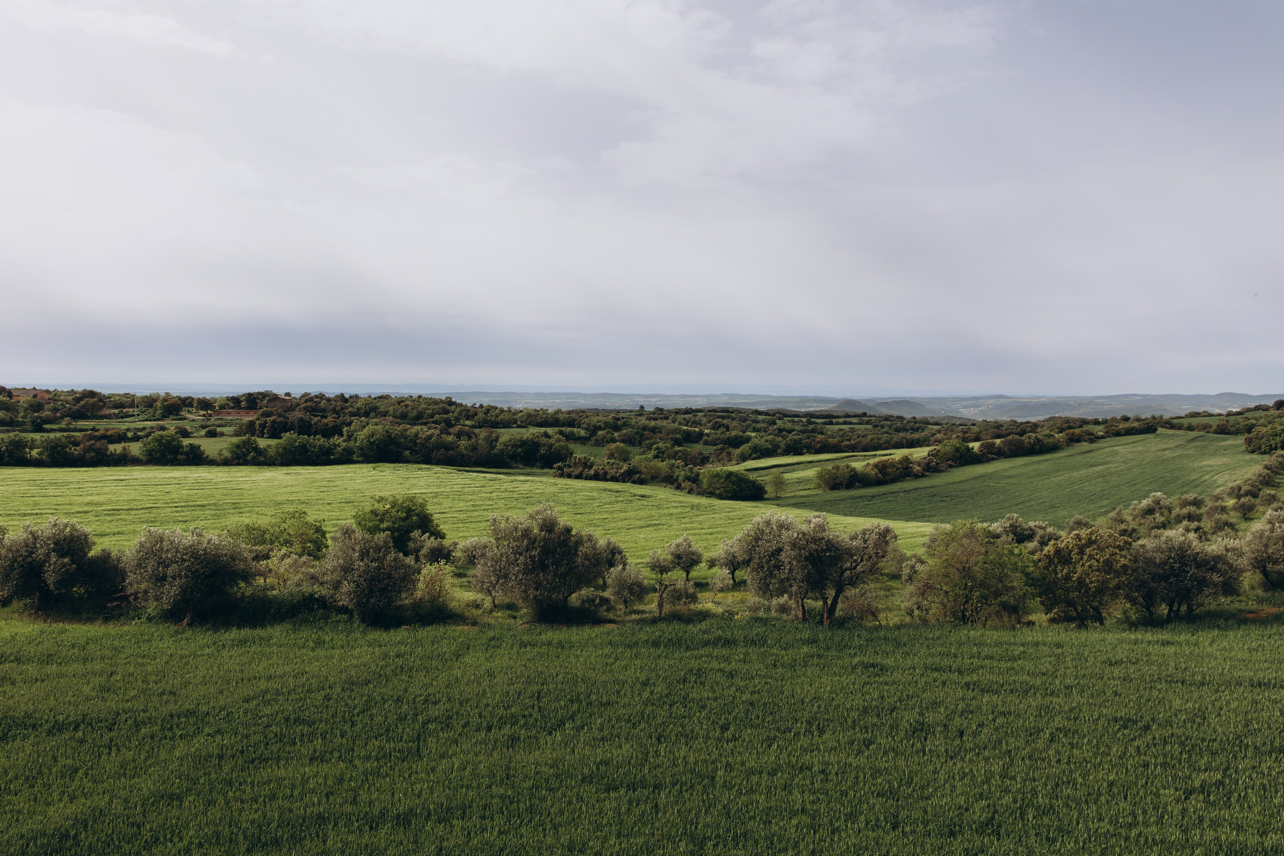  Wedding photos by the sea in Valencia – photographer for weddings in Spain and Italy.