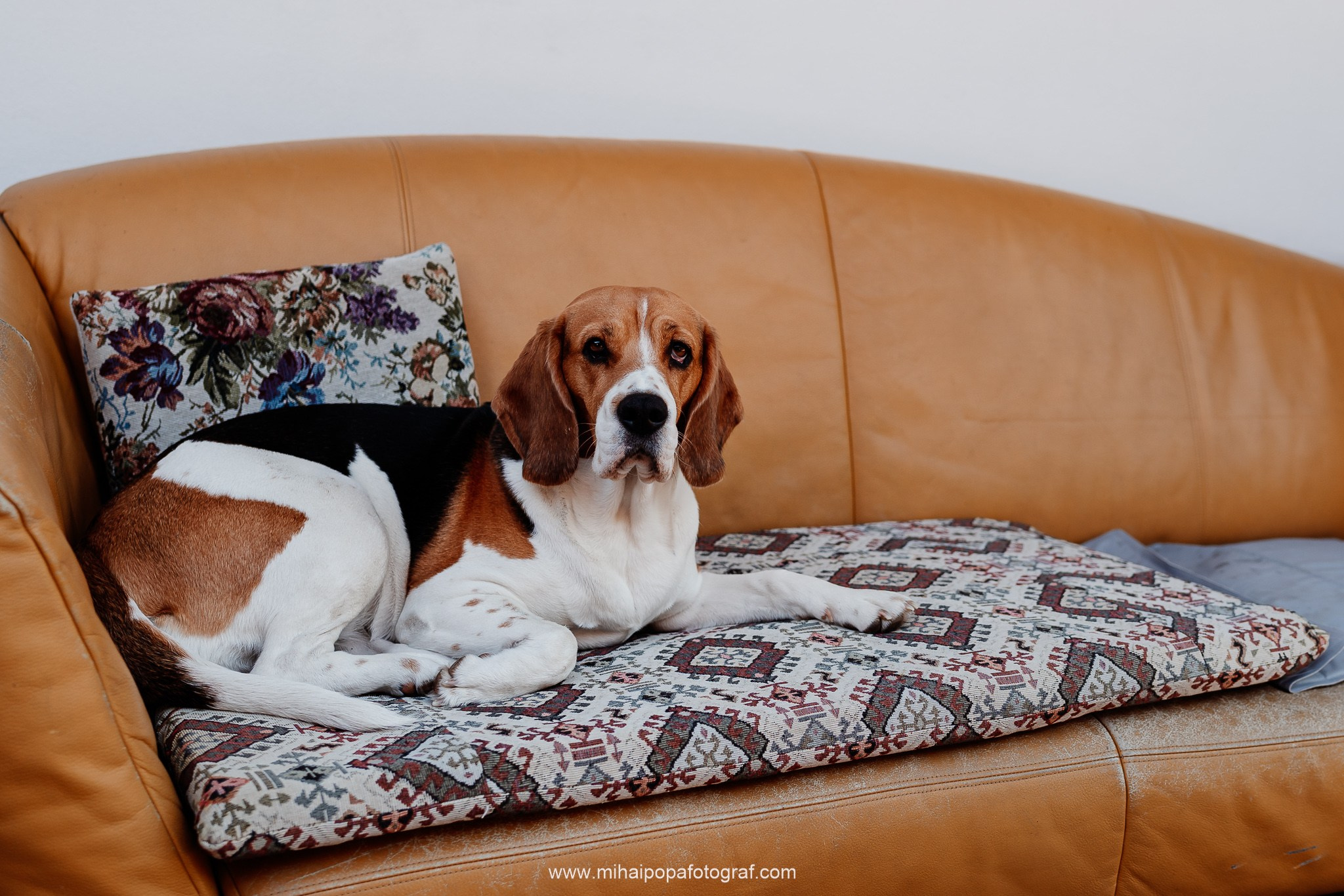 Fotograf de nuntă în Râmnicu Vâlcea | Mihai Popa Fotograf. Fotograf Nuntă, Botez și Cununie Civilă în București - Mihai Popa