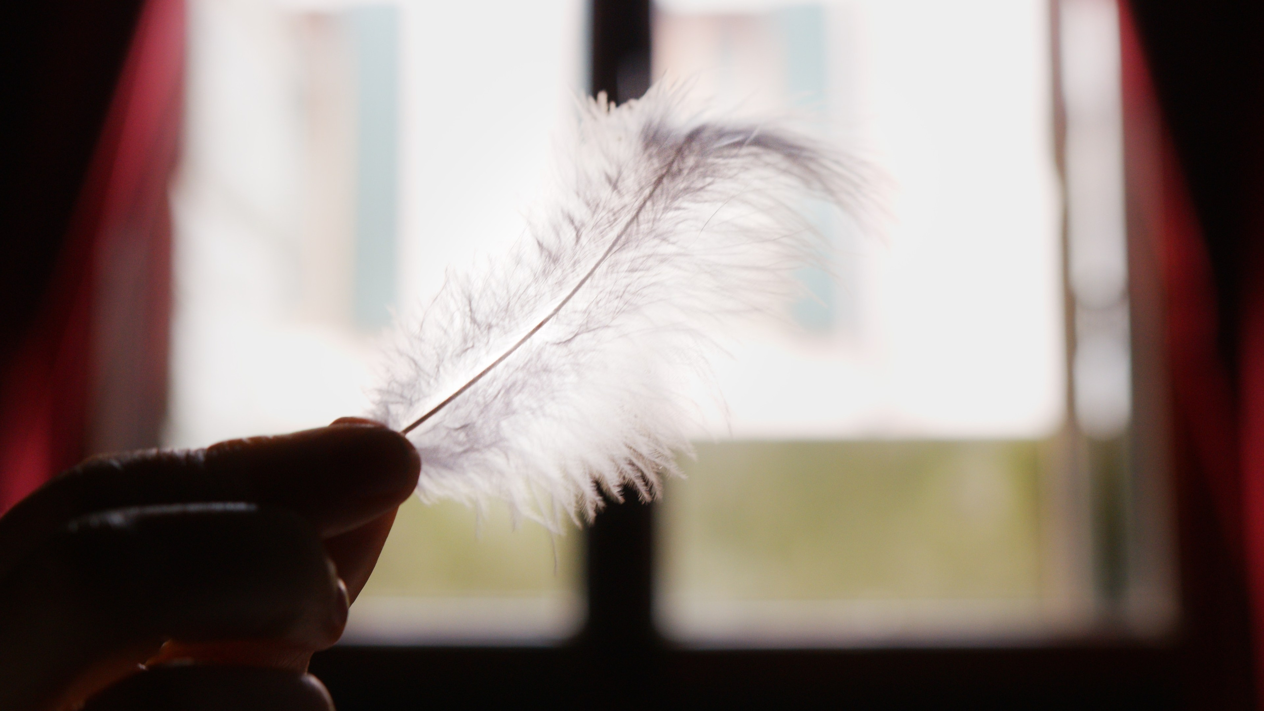 Produzione Video a Treviso, Pordenone, Udine, Padova – Videomaker. Produzione Video & Foto - Branding Aziendale (Treviso Pordenone Udine Padova)