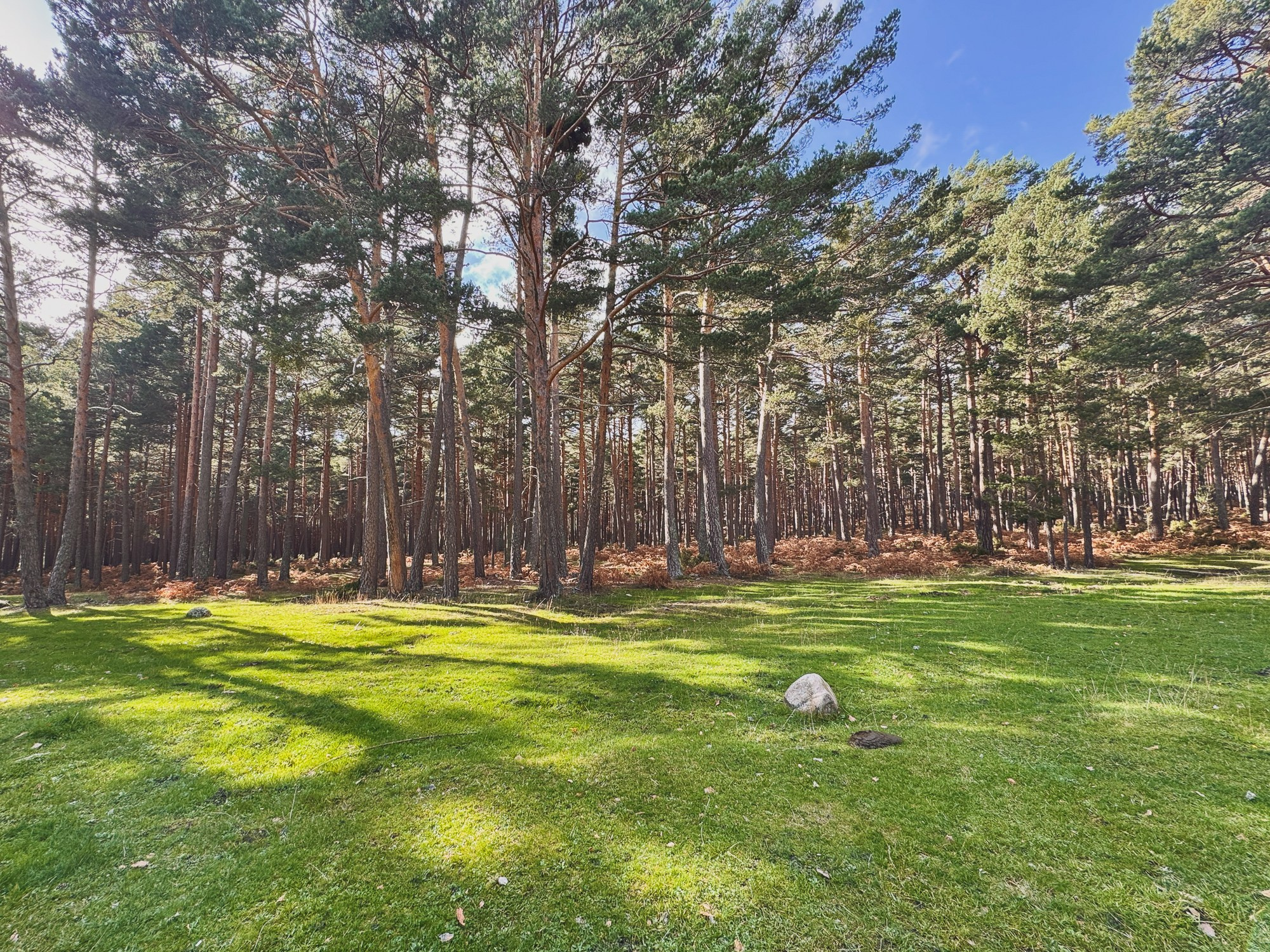 Peisaj /natura. Daniel Criste Fotograf