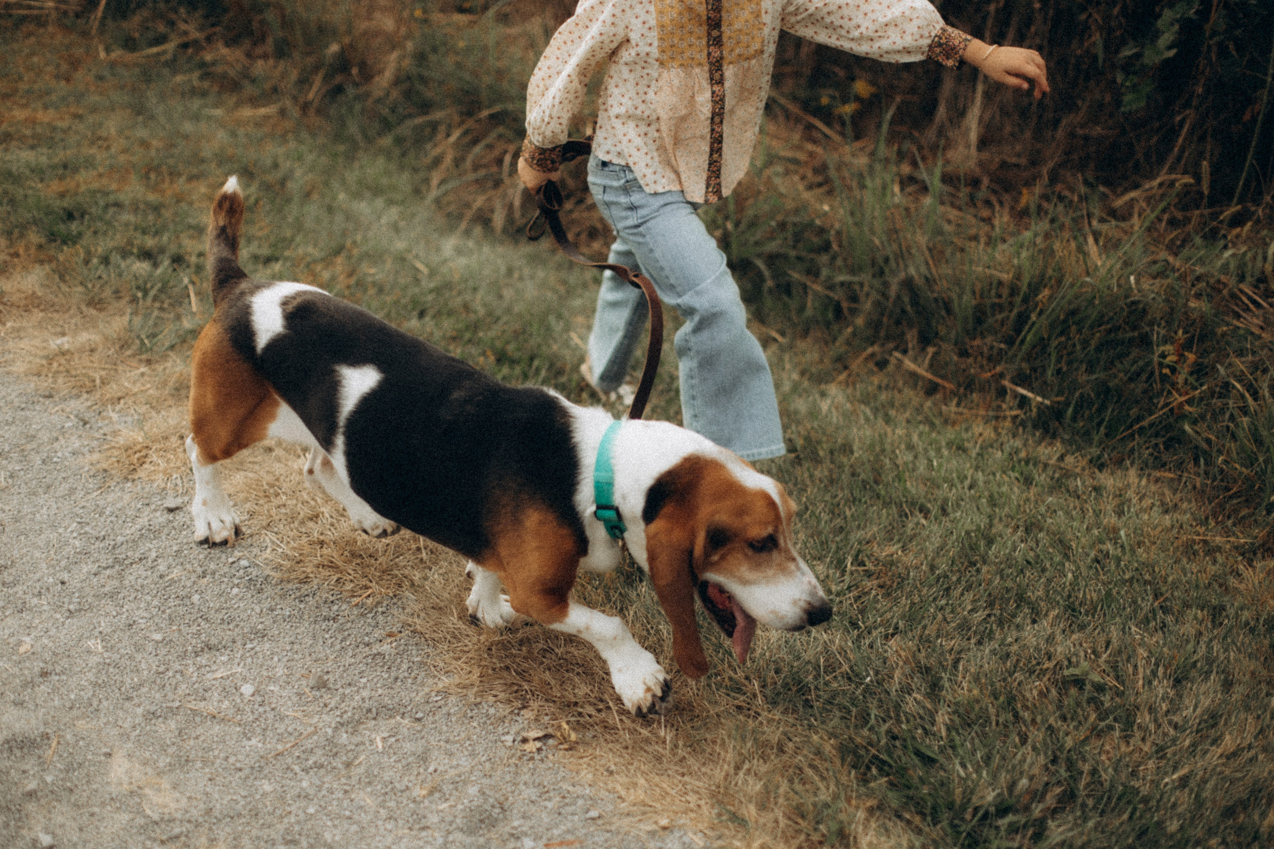 The Houzes. CAPTURED BY SHANKS PHOTOGRAPHY