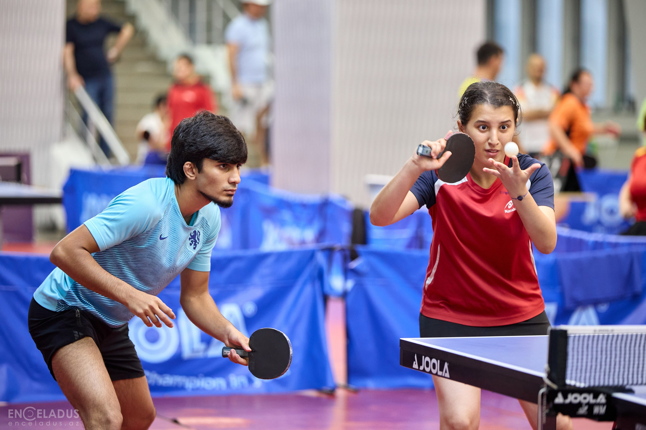 Table Tennis. Mix Tournament. Фотограф в Баку Kamran Enceladus