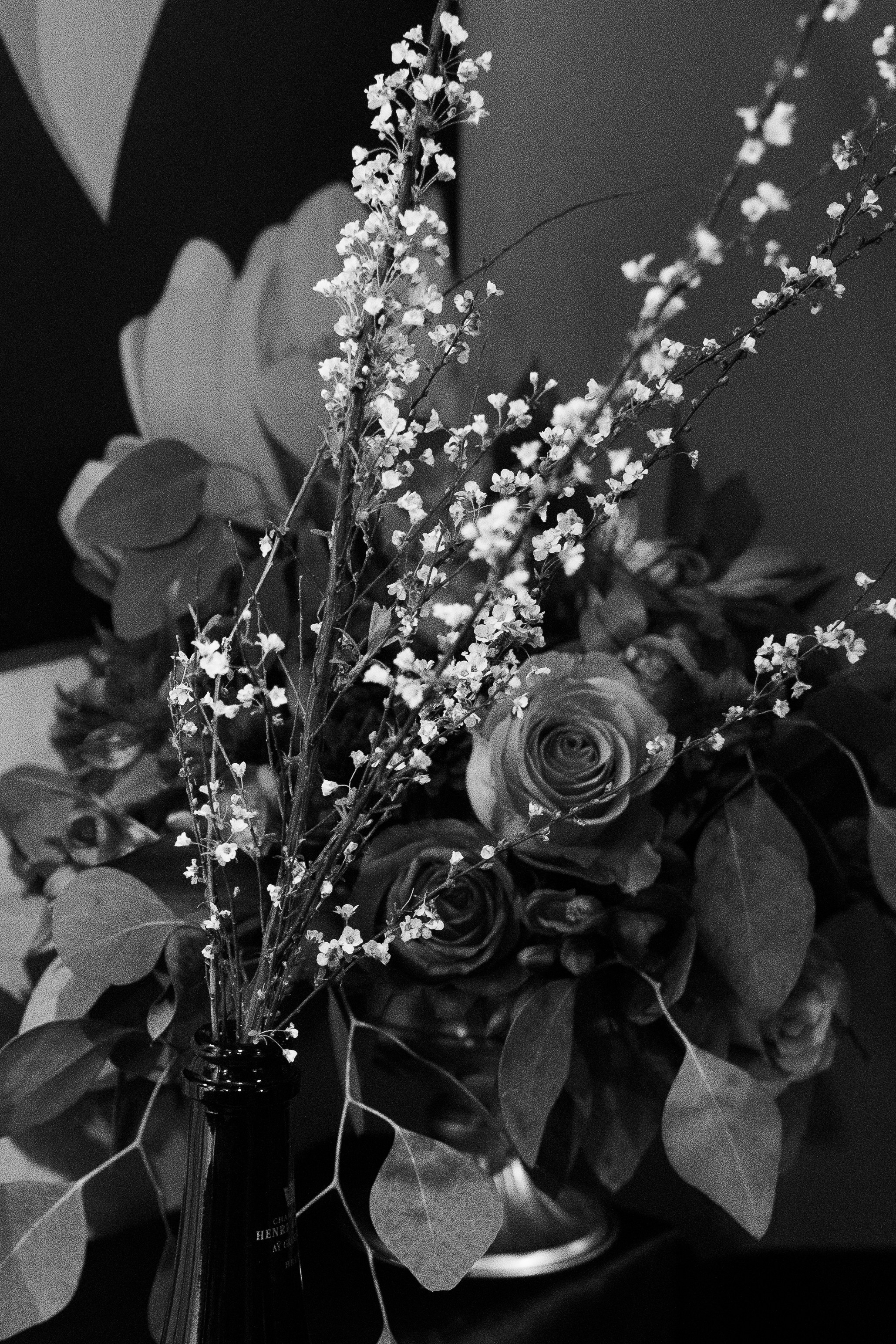 Timeless Bloom/ bohicare (2025). Студия декора «Нарния»