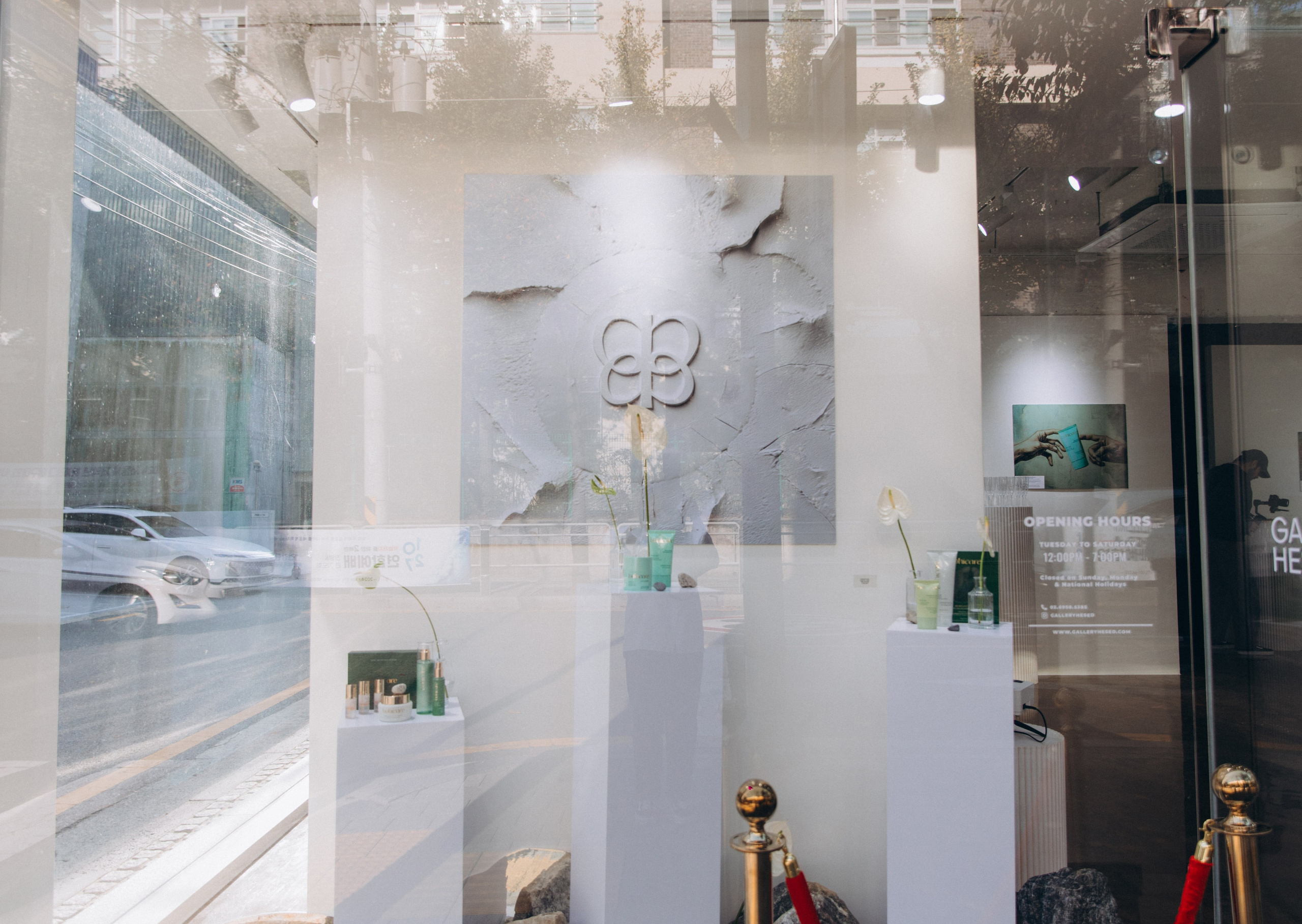 THE ART OF RENEWAL/ bohicare (2024). Студия декора «Нарния»