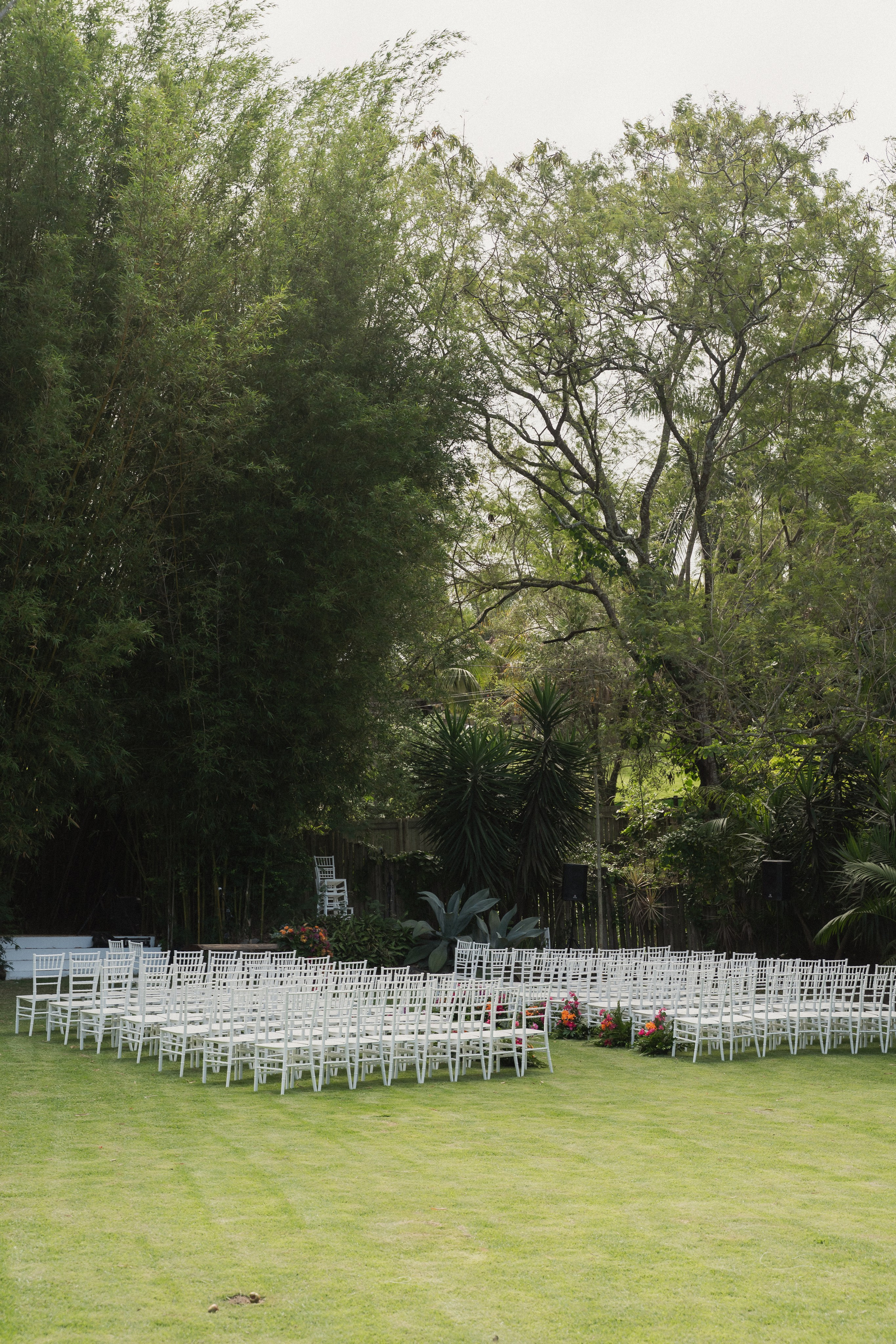 Portfólio. Lembrar não é só ver. É sentir de novo