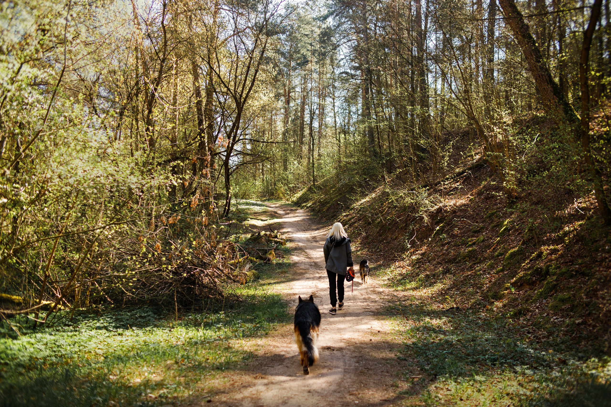 Dog trainer blog content. Kaja | fotograf we Wrocławiu | ludzie i psy