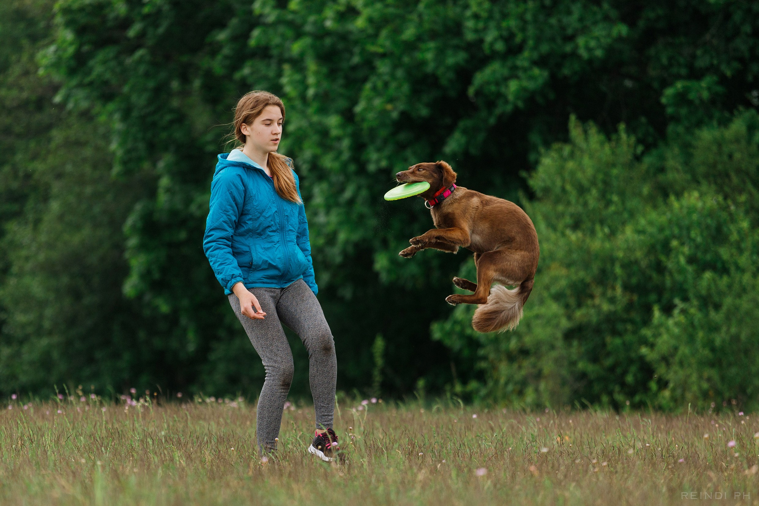 Dog frisbee championship | summer. Kaja | fotograf we Wrocławiu | ludzie i psy