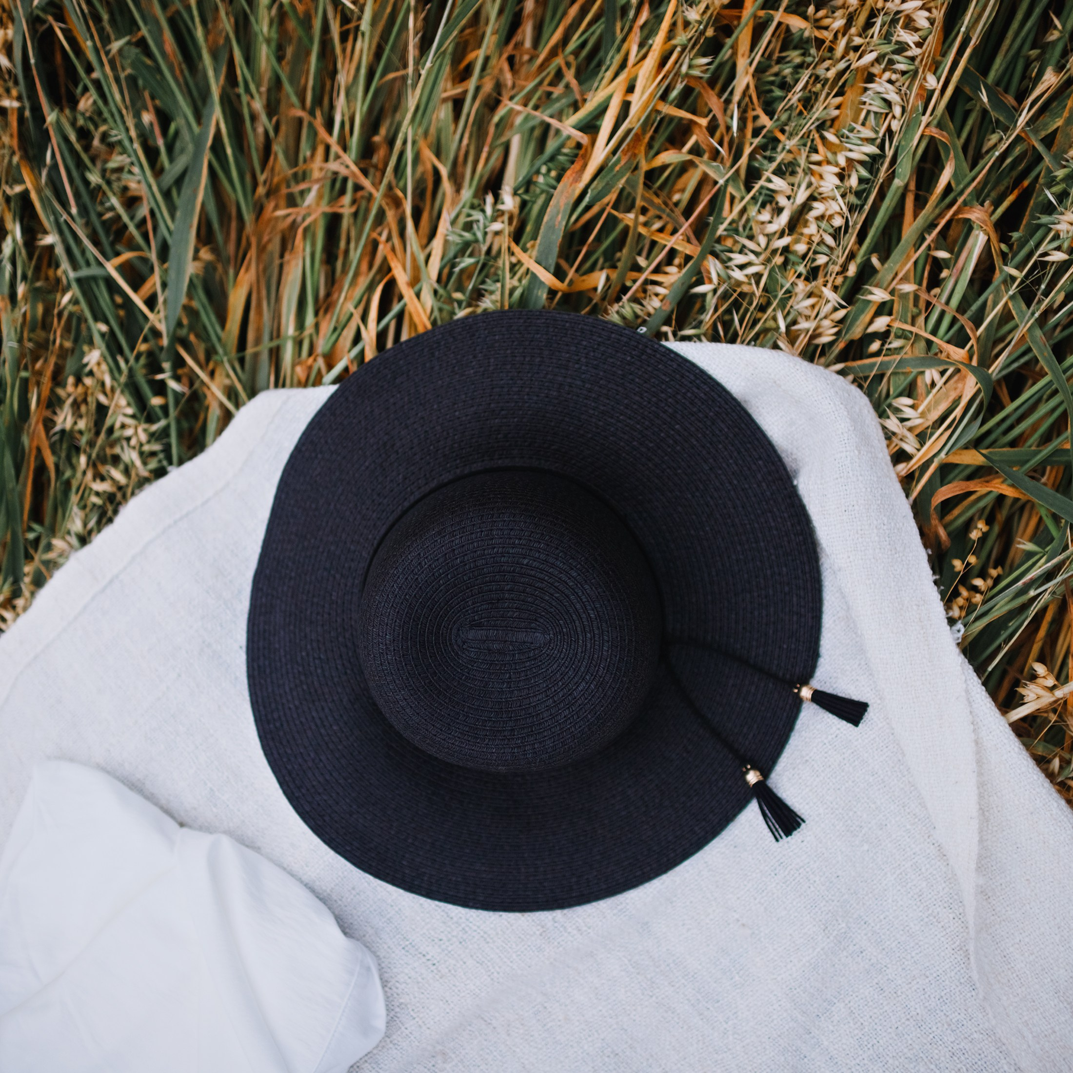 Katya | tenderness in the field. Kaja | fotograf psów we Wrocławiu