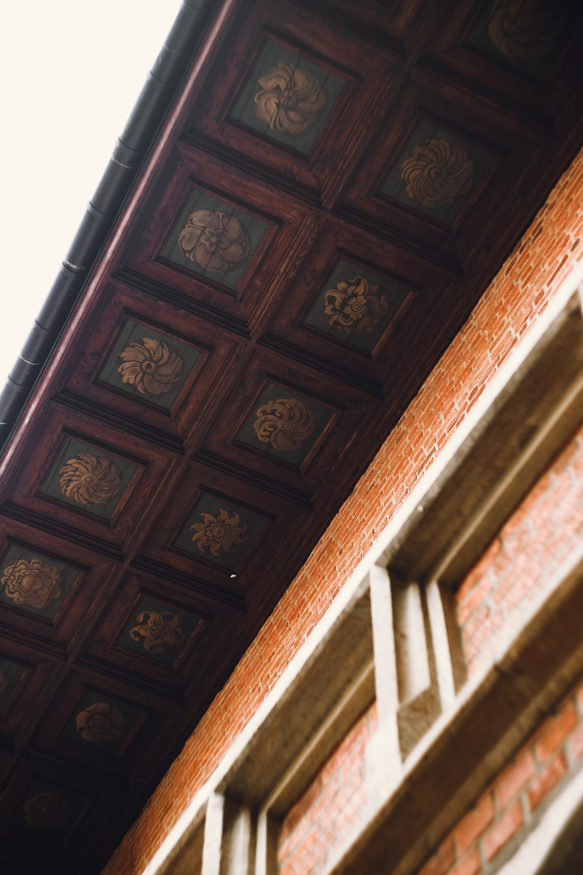 Krakow. Kaja | fotograf psów we Wrocławiu