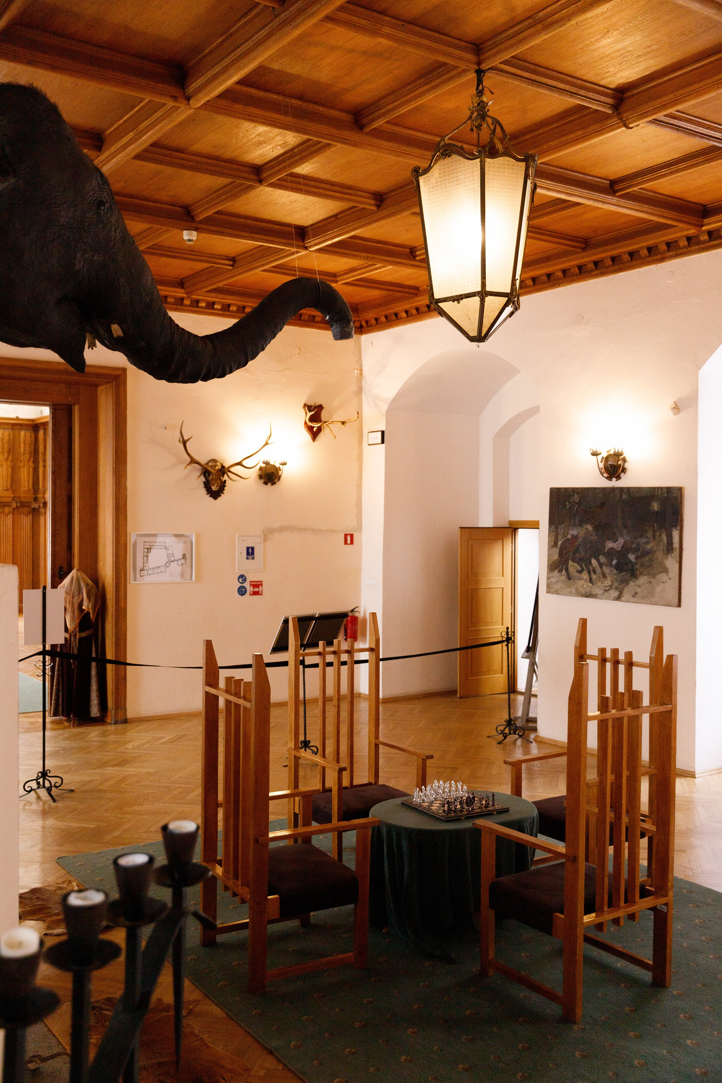 Oleśnica castle. Kaja | fotograf psów we Wrocławiu