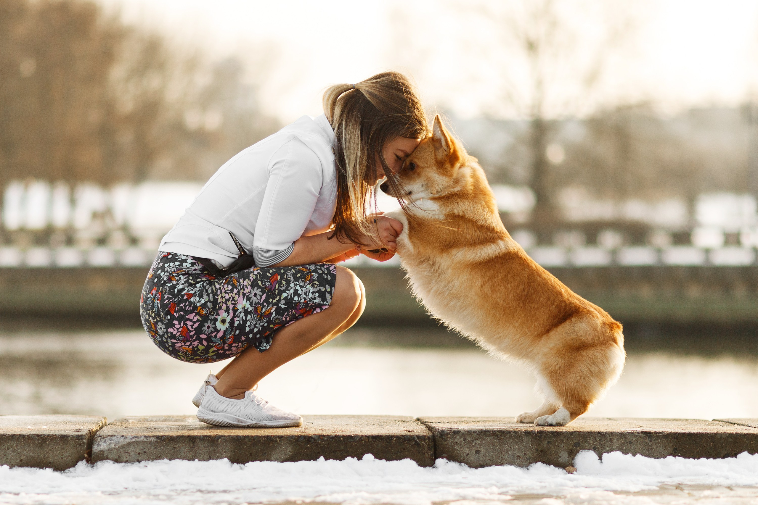 Dog shows | the best ones. Kaja | fotograf psów we Wrocławiu